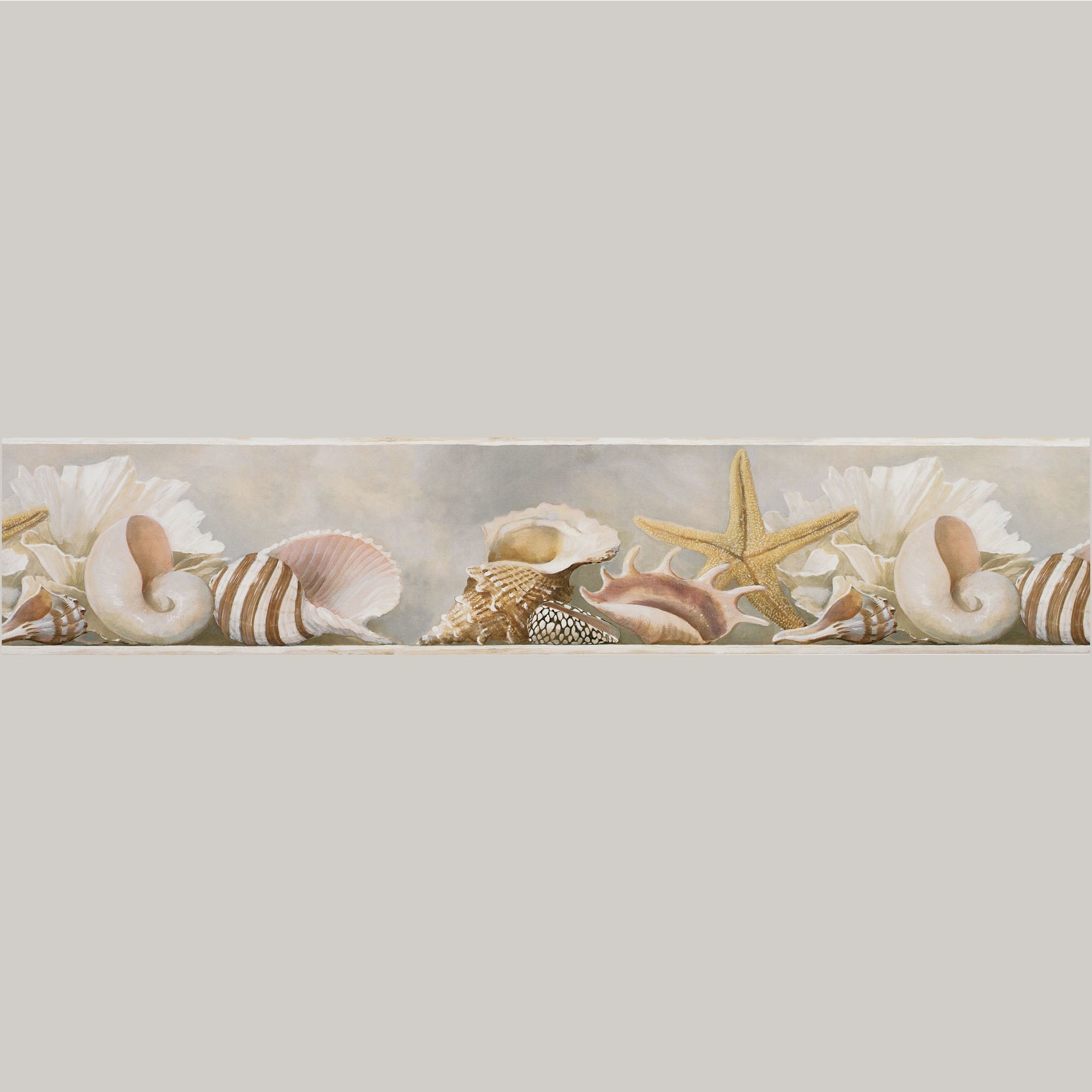 Seashell Wallpaper (53+ pictures)