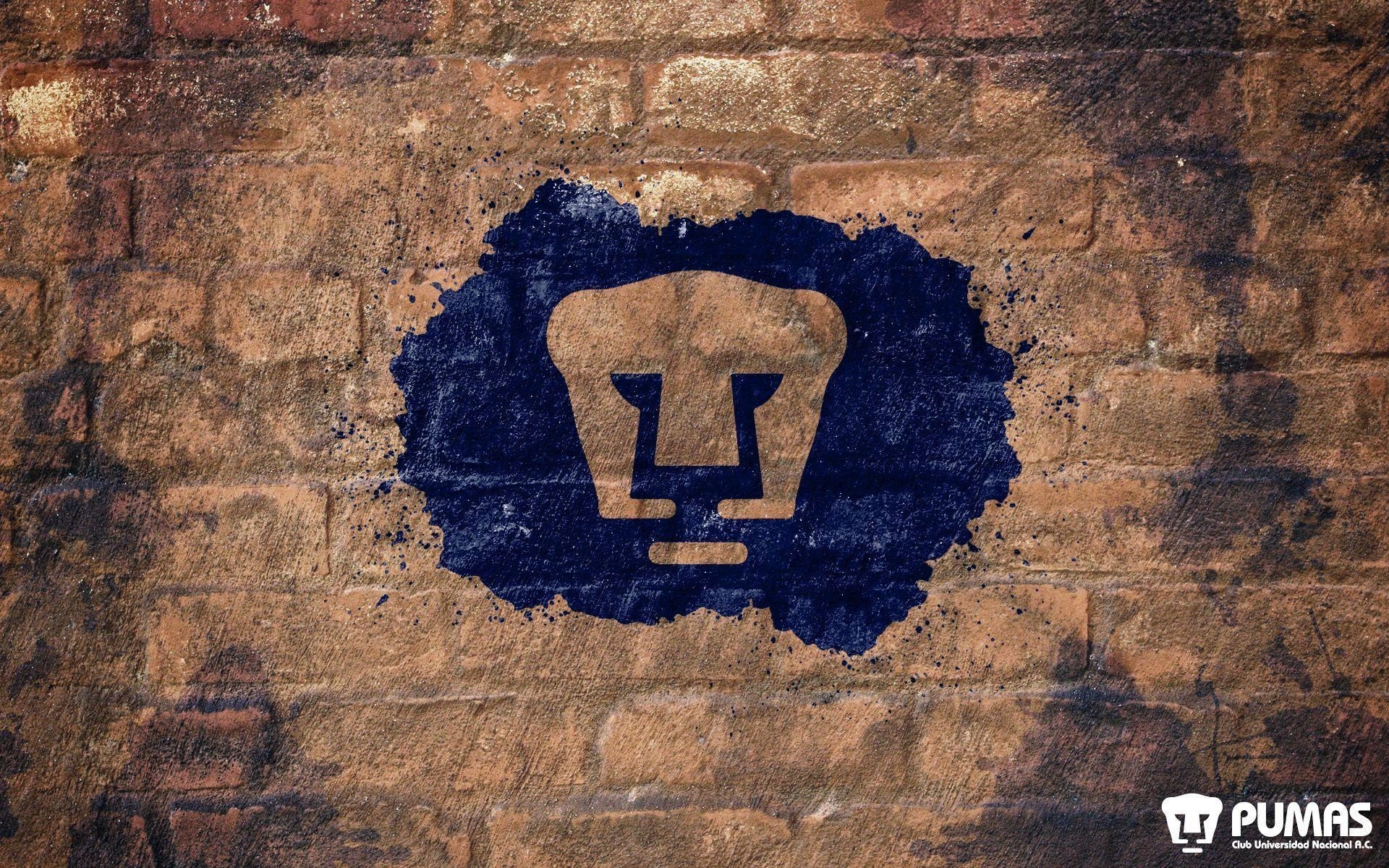 Pumas Wallpapers (75+ pictures)