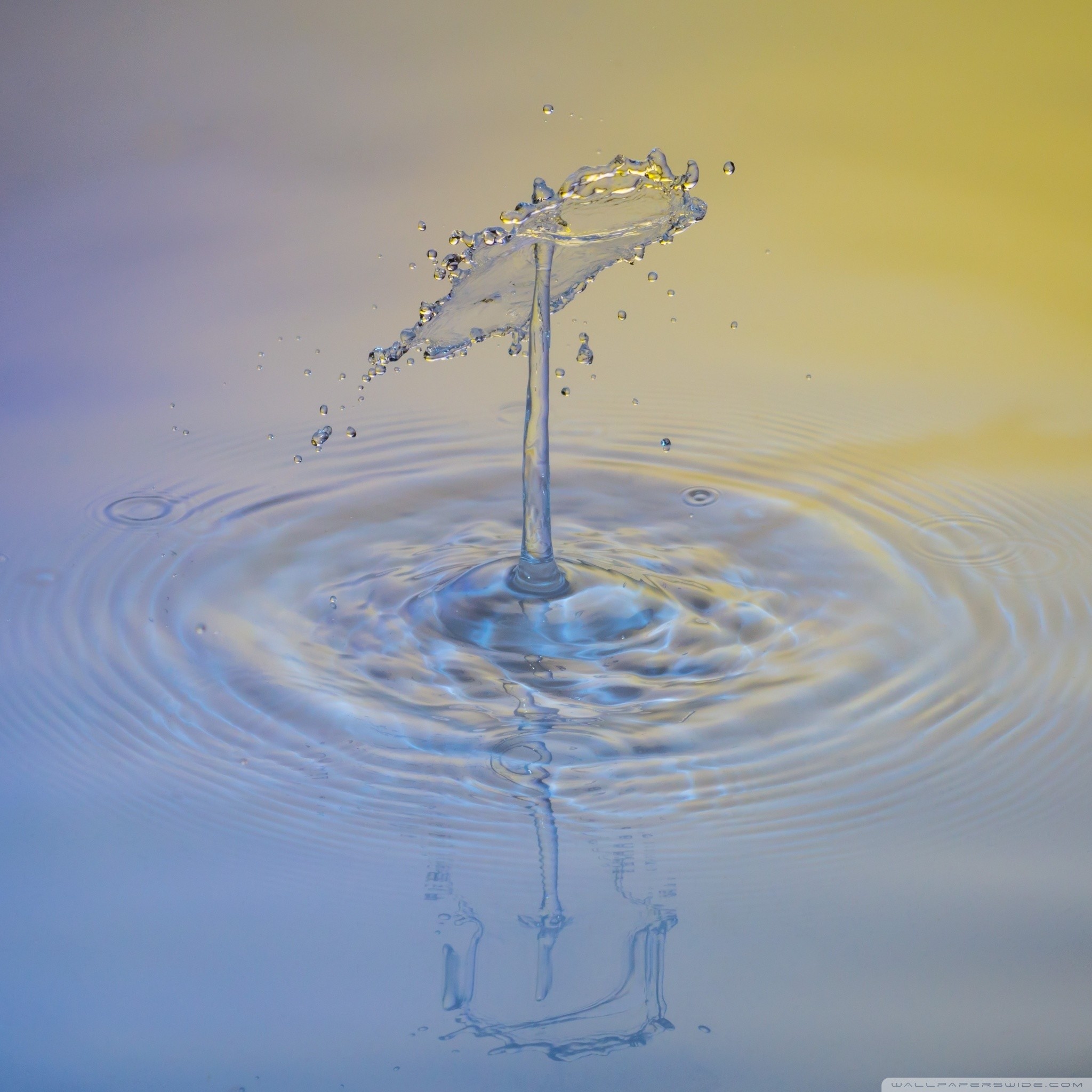 Apple Water Wallpaper (73+ pictures)