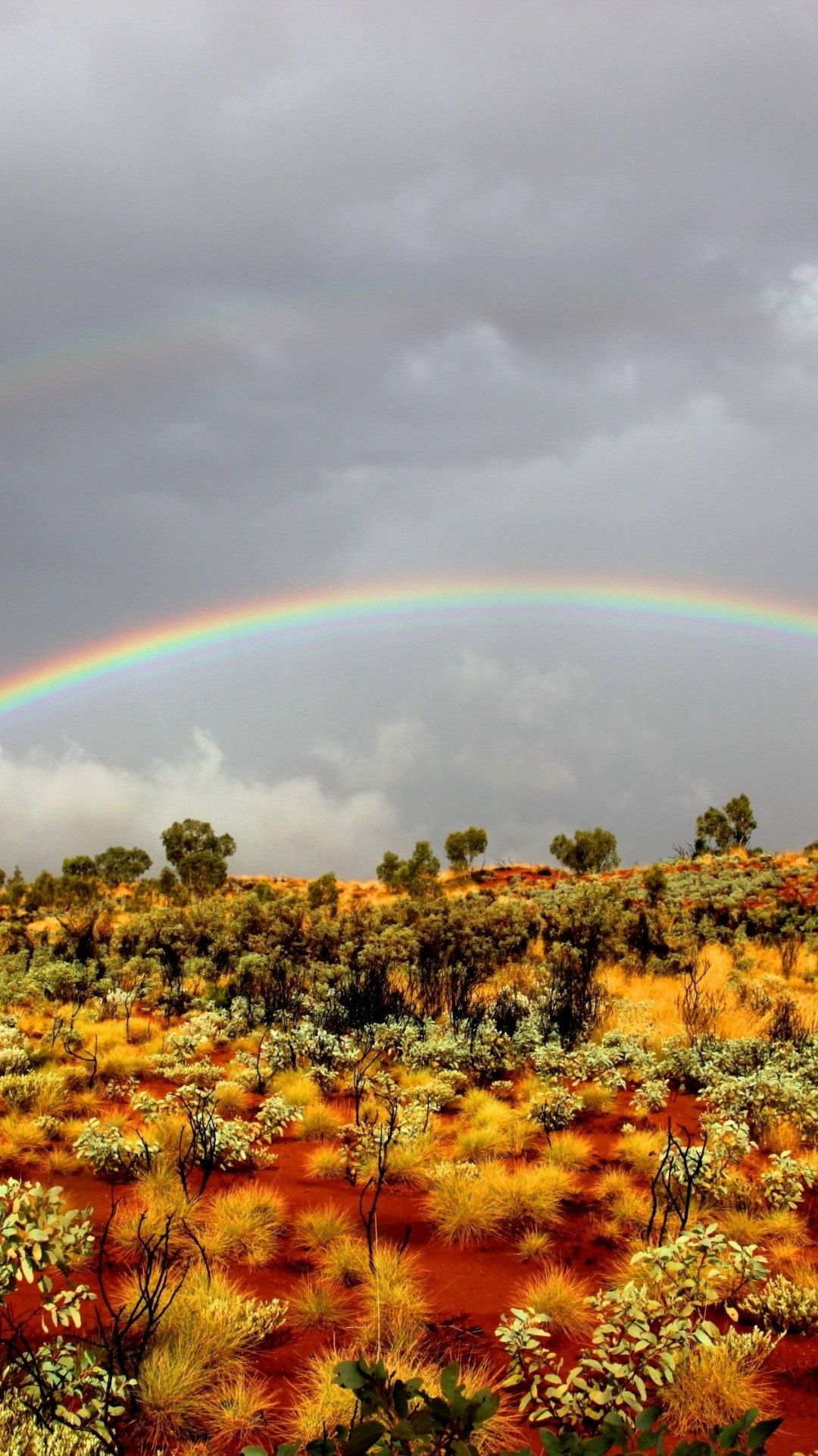 1080x1920 Wallpaper rainbow, bushes, wild west, vegetation, sand 1080x1920