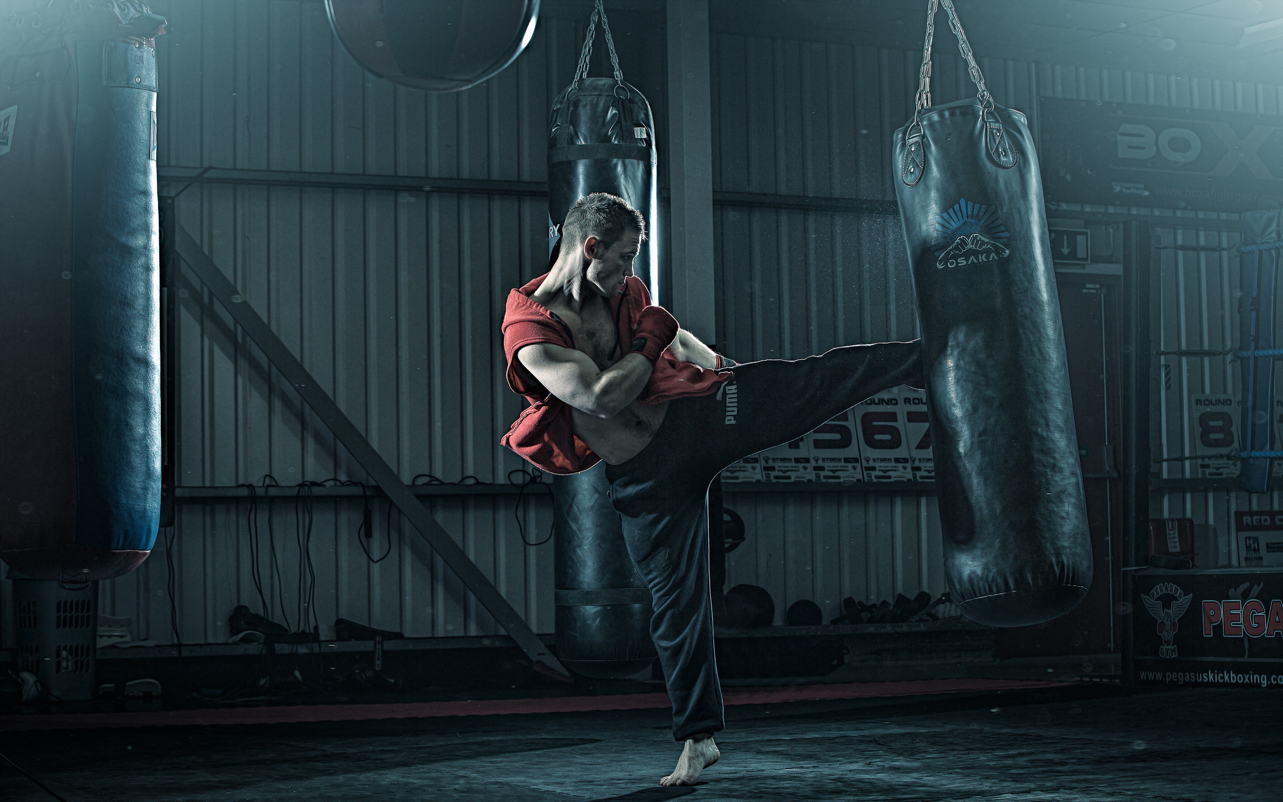 Kick Boxing Wallpapers (63+ pictures)