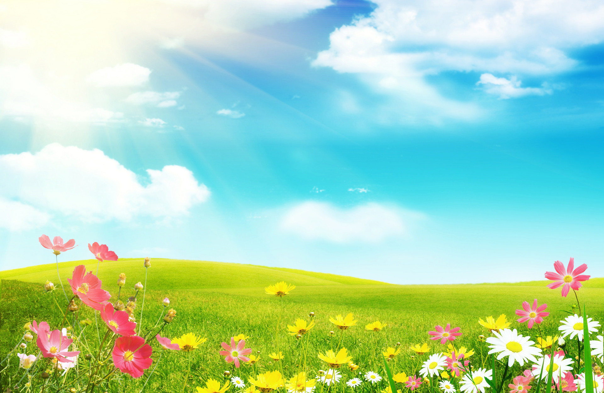 Spring Backgrounds for Computer (59+ pictures)