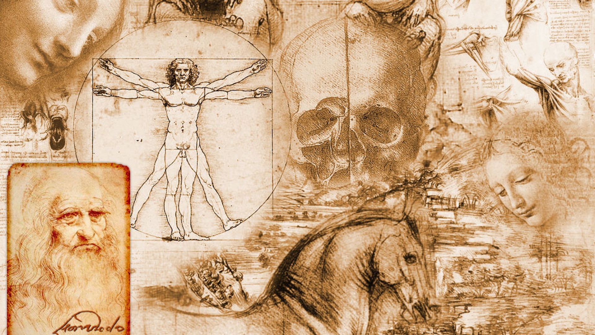 Leonardo Da Vinci Wallpaper 56 Pictures