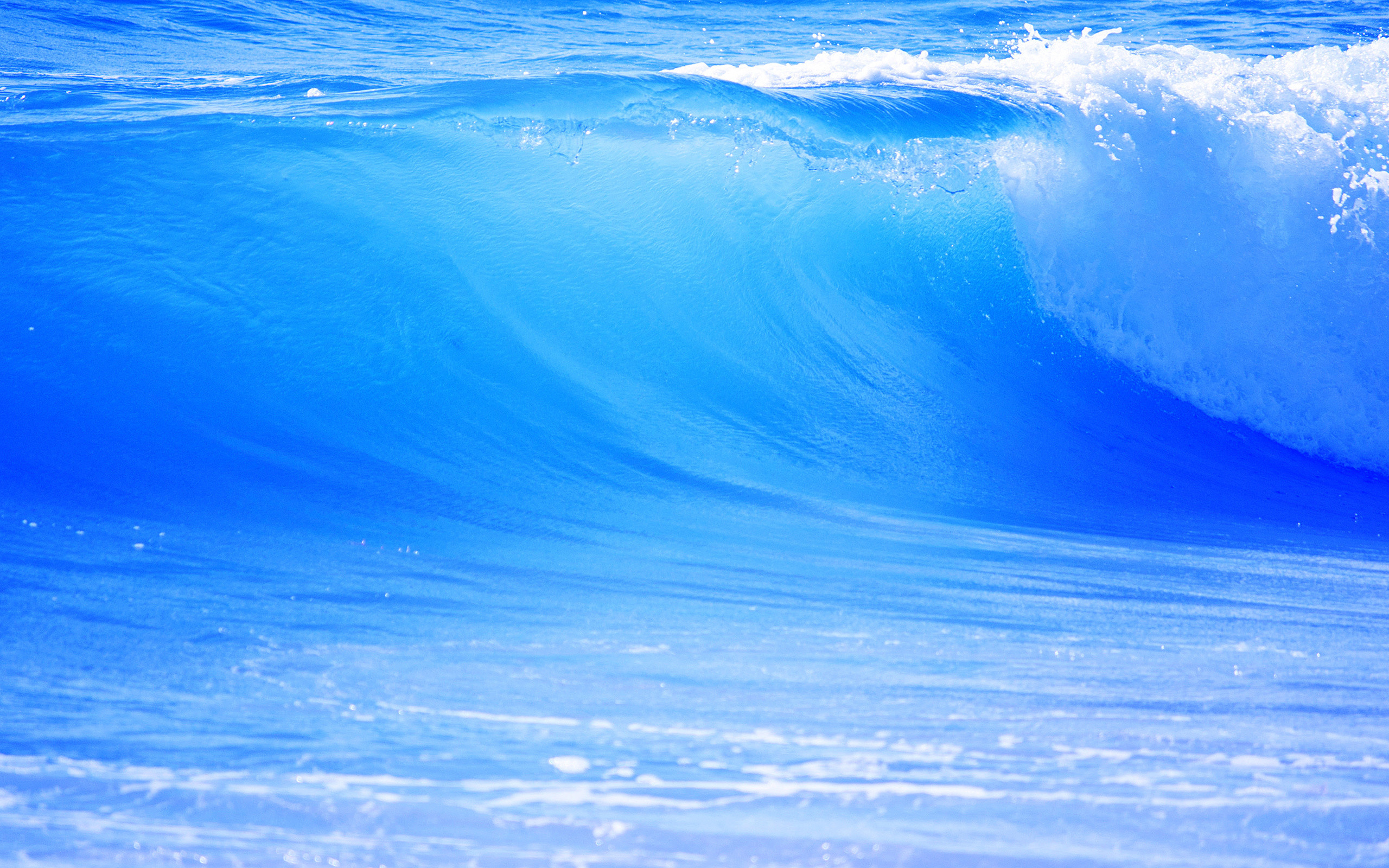 30k Ocean Blue Pictures  Download Free Images on Unsplash