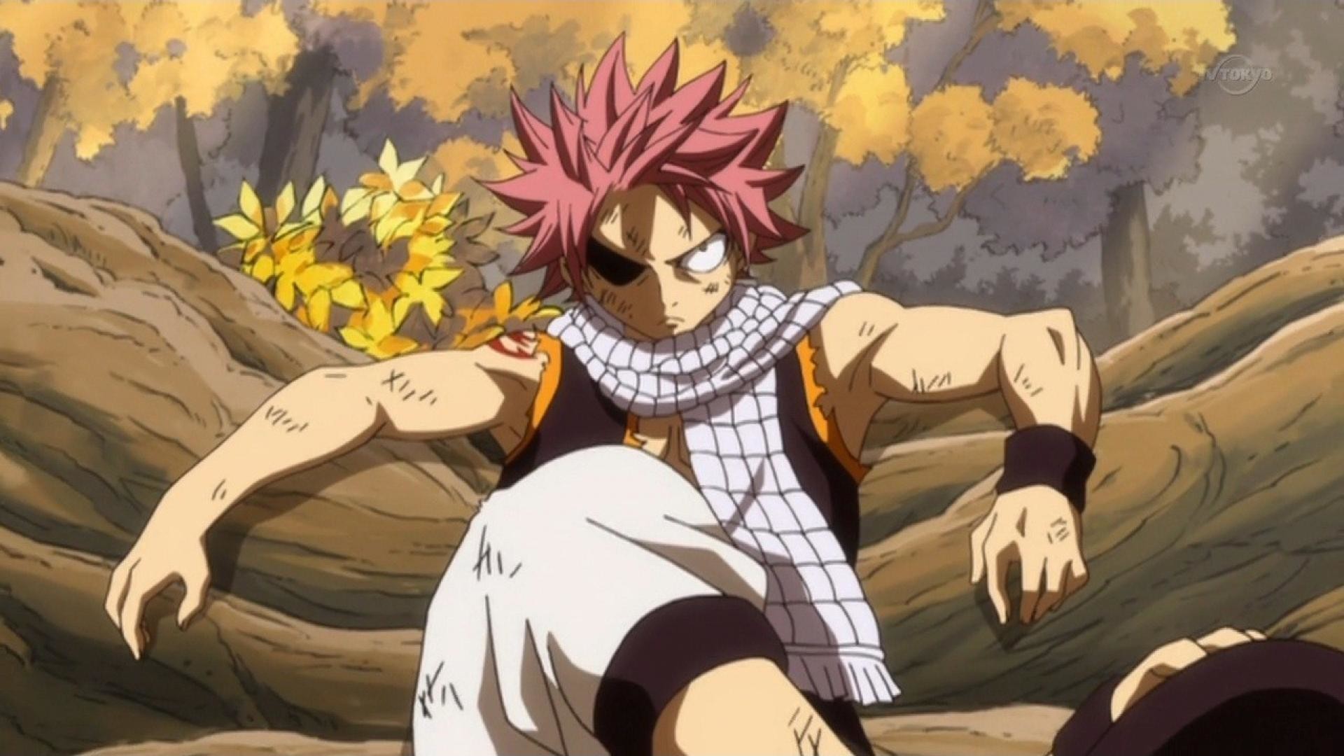 Natsu Dragneel - Fairy Tail wallpaper - Anime wallpapers - #26497