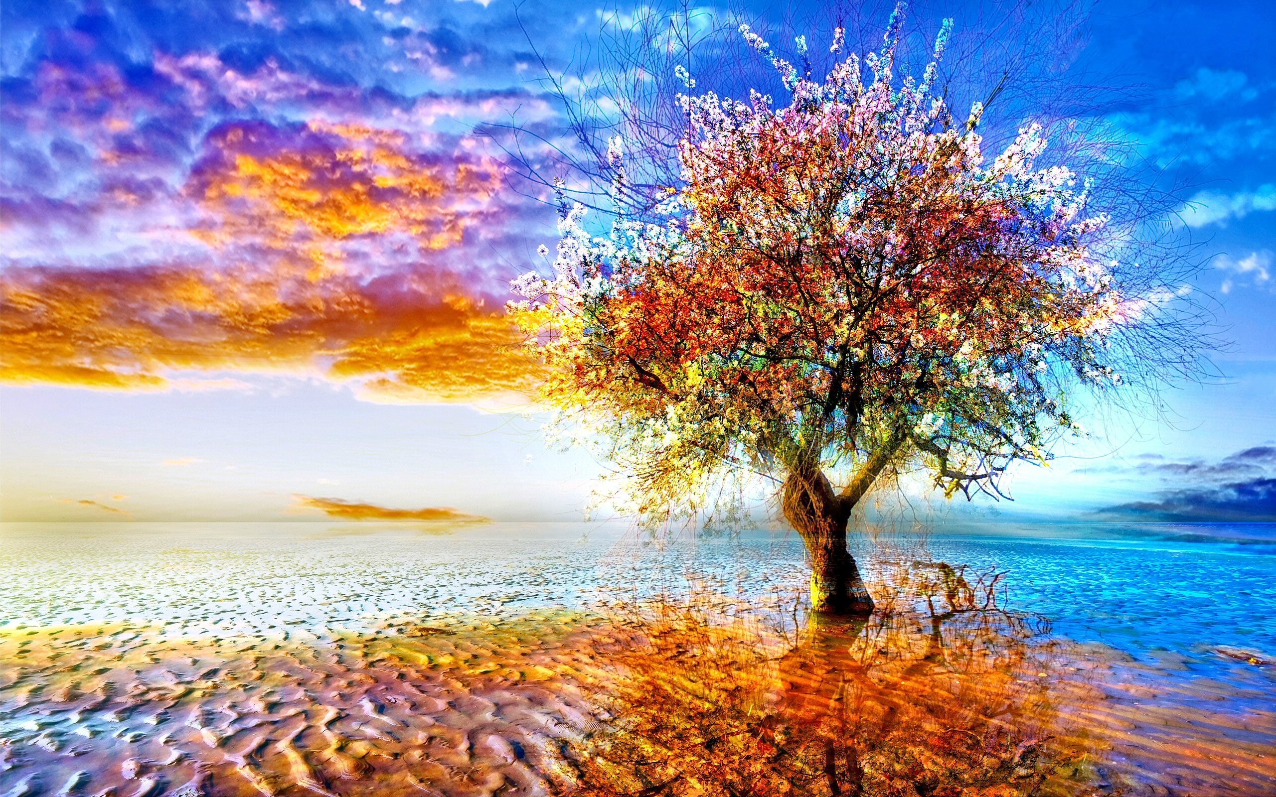 Beautiful Tree Wallpaper (64+ pictures)