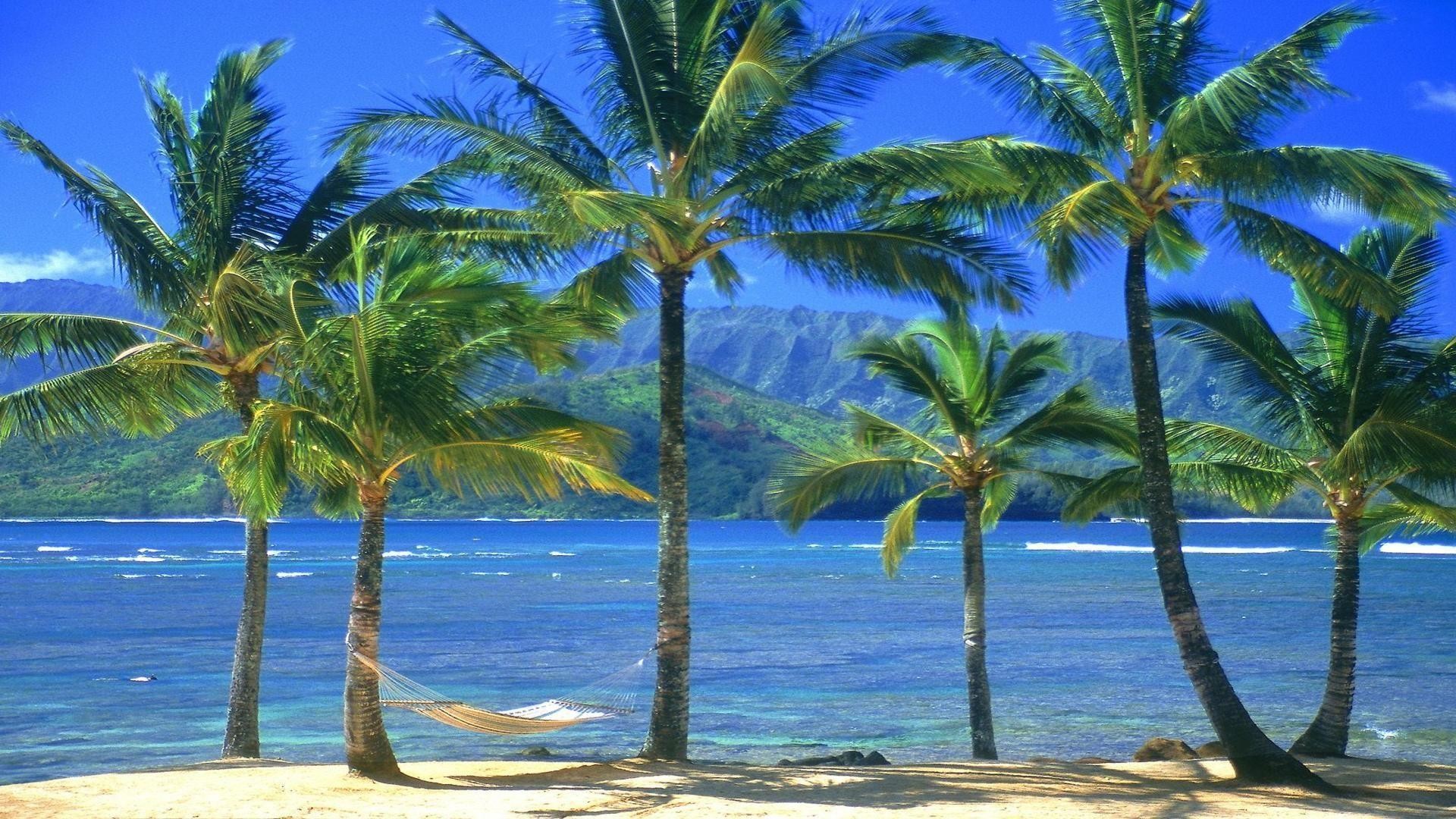 Hawaii Desktop Backgrounds (64+ pictures)