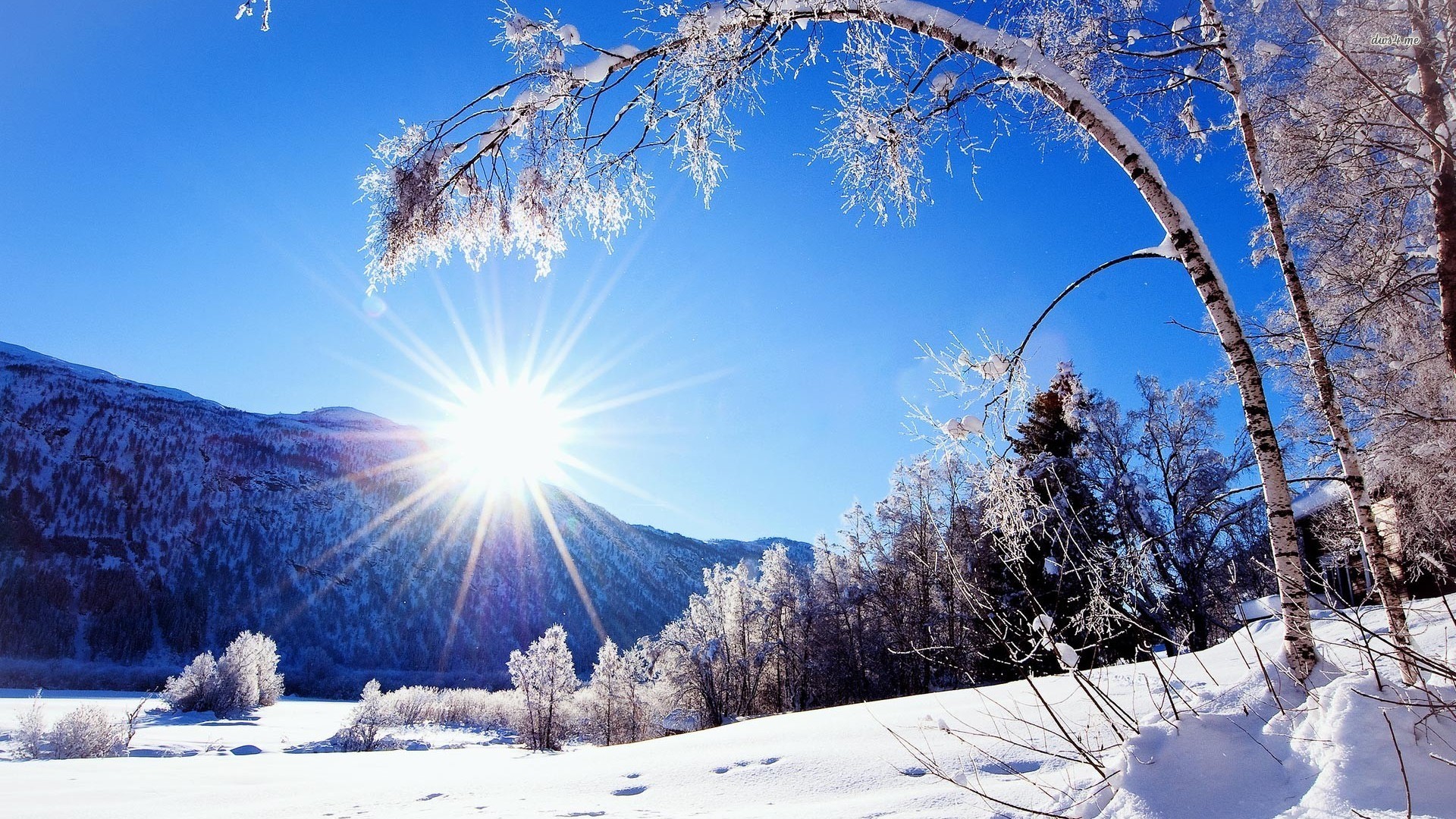 sunlit winter landscape wallpaper Wallpaper HD 1920x1080
