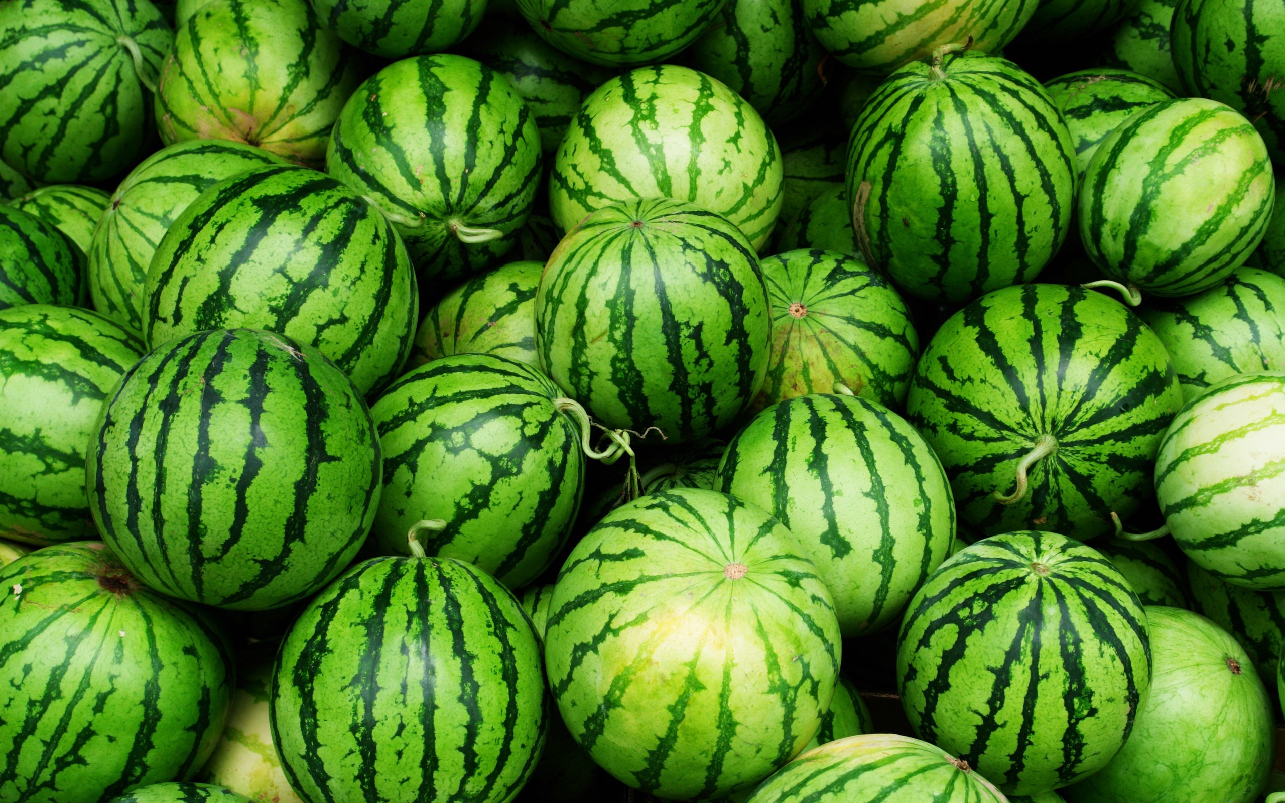 watermelon wallpapers images photos pictures backgrounds on watermelon wallpaper