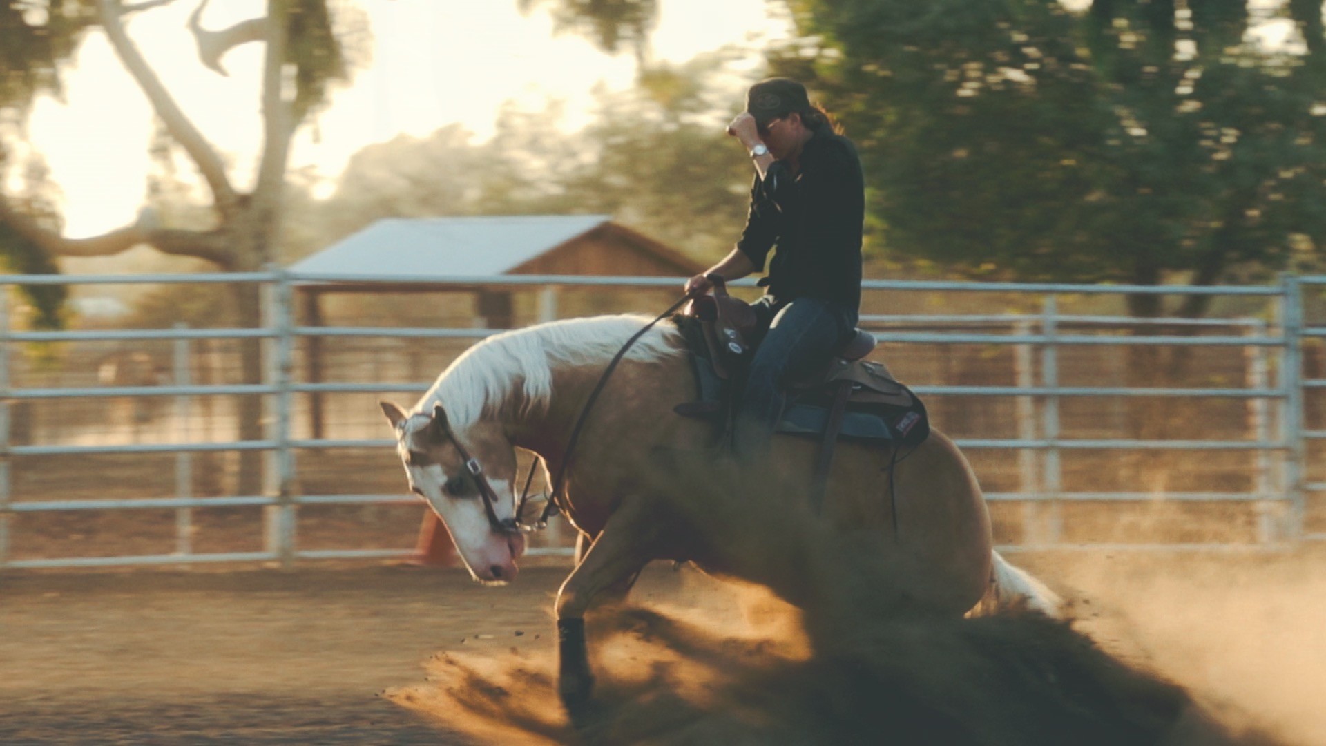 Перевернутая наездница. Barrel Racing конный спорт. Сталлоне верховая езда. Мустанг для верховой езды. Шевалье Мустанг.