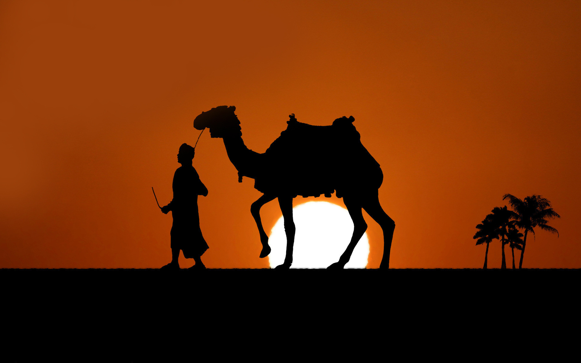 HD wallpaper: Camel Standing on Sand, animal, Arabian camel, bridle,  daylight | Wallpaper Flare