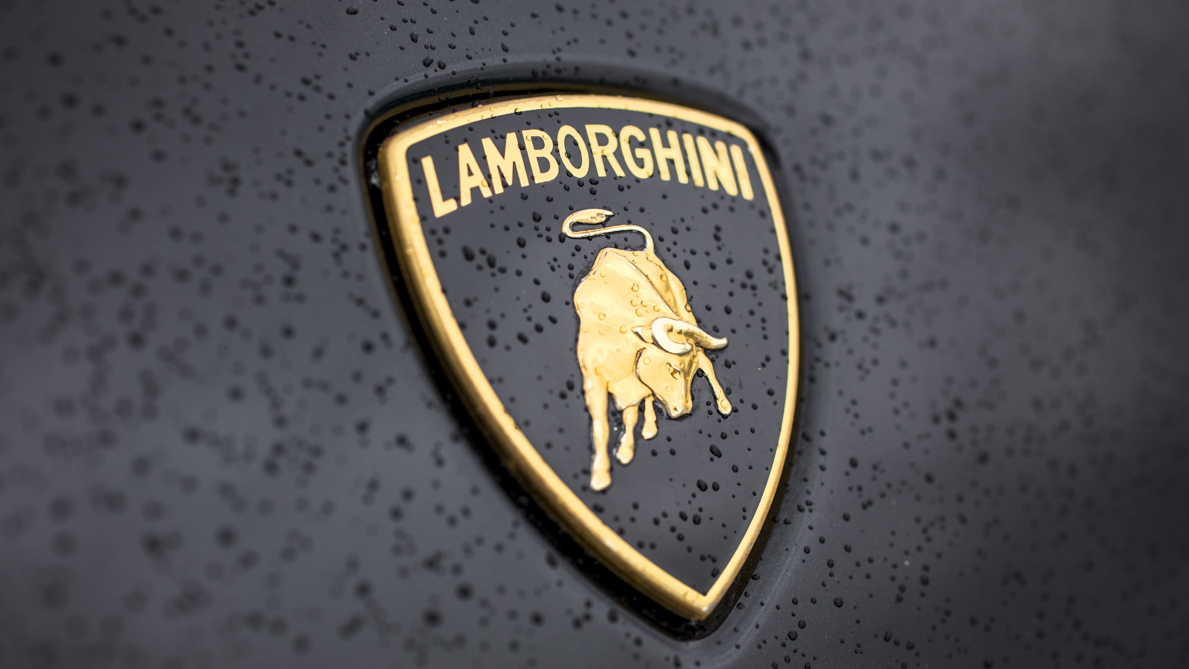 Lamborghini Wallpapers HD (79+ pictures)
