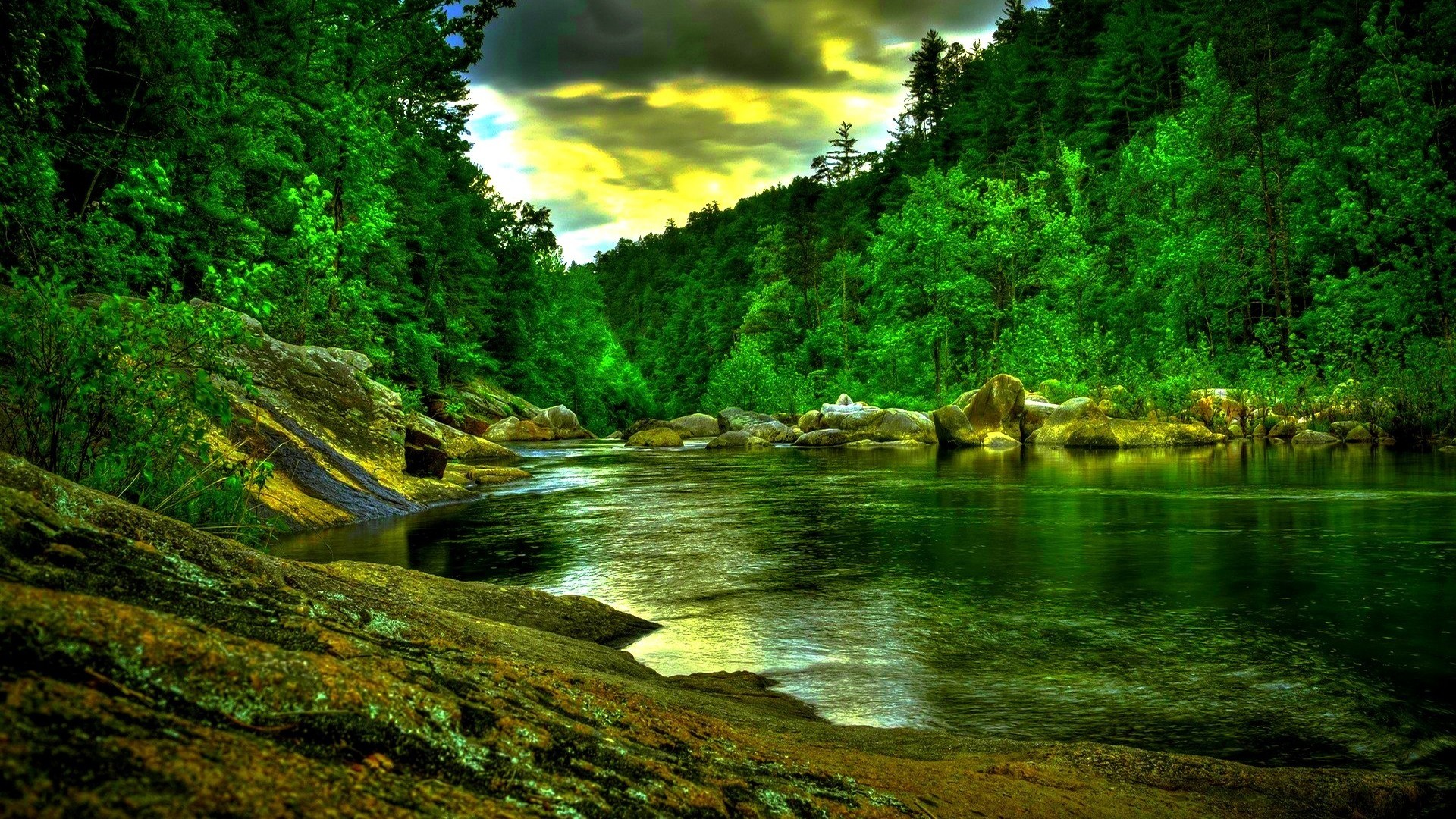 Beautiful Green Forest River Hdr HD Desktop Background 1920x1080
