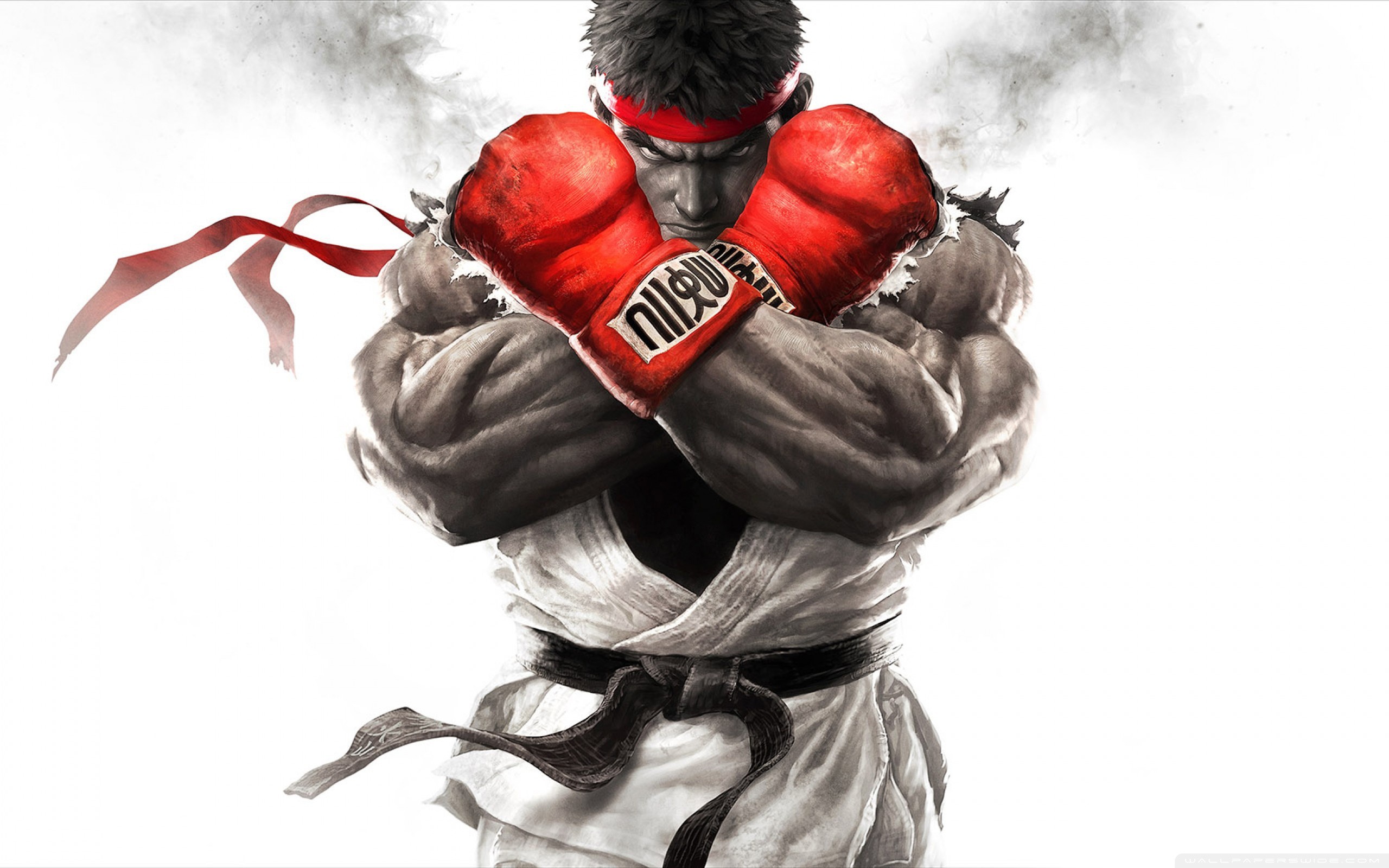Street Fighter Wallpaper Hd 65 Pictures