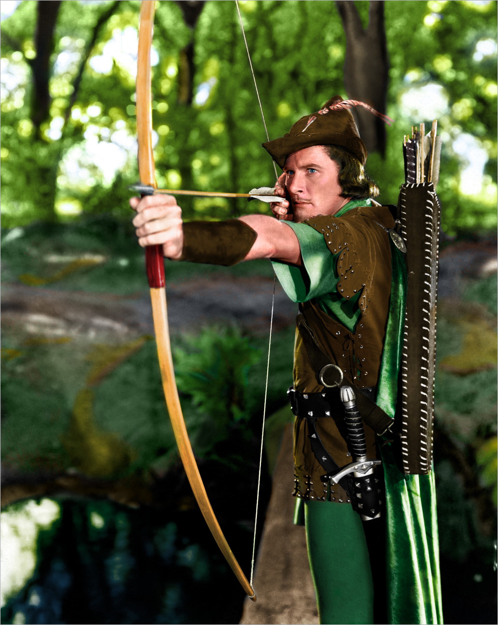 High Resolution Wallpaper | Robin Hood 1913x2400 px 1913x2400