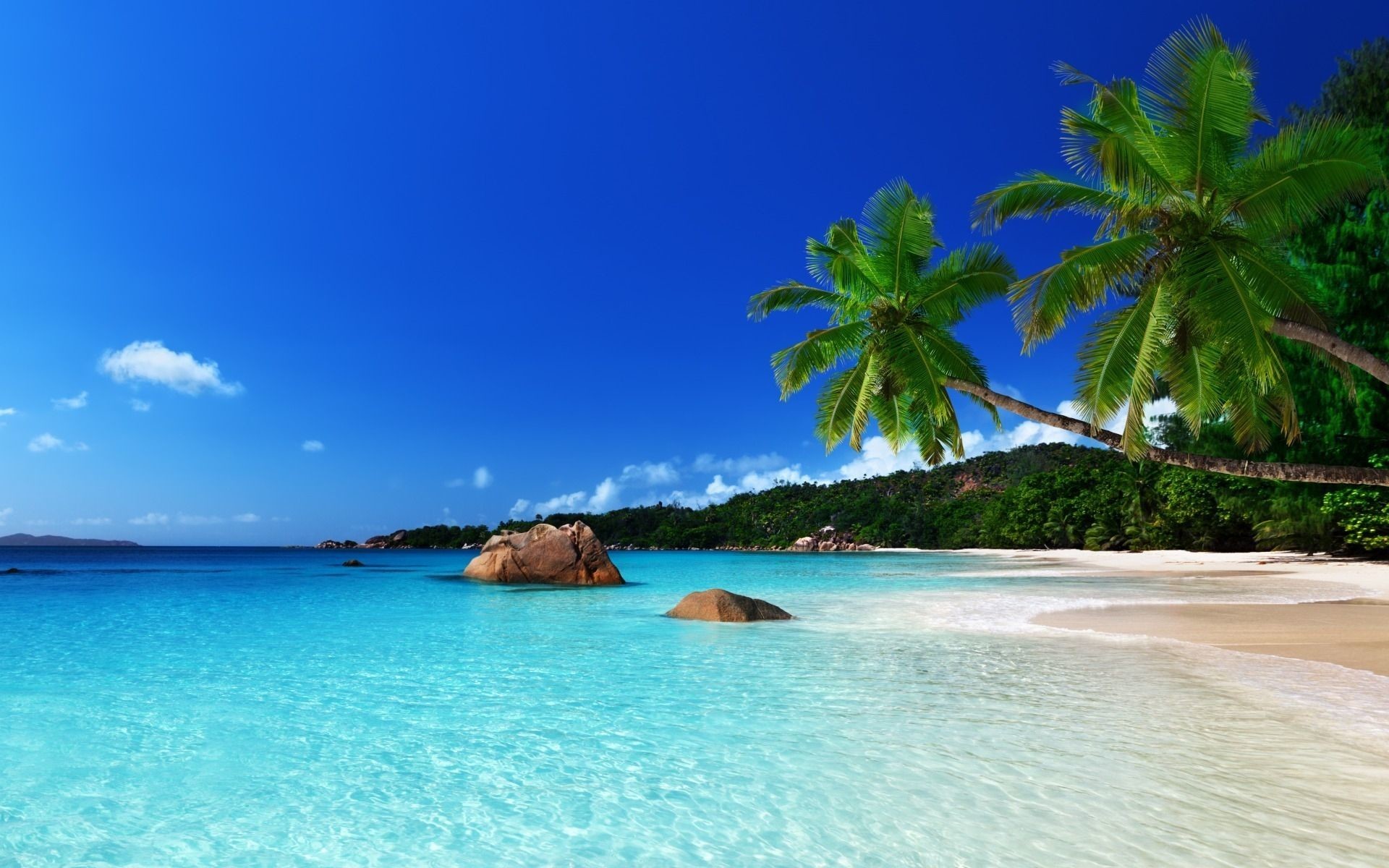 Tropical Desktop Backgrounds (54+ pictures)