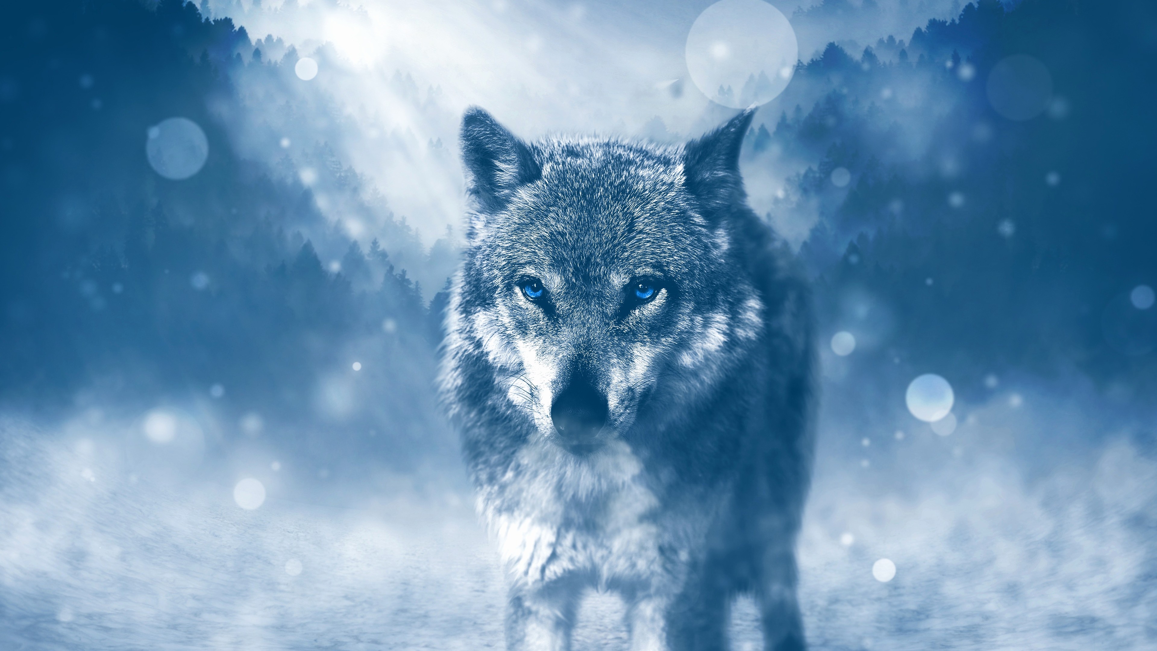 Roblox Yellowstone Wolf Game Wiki