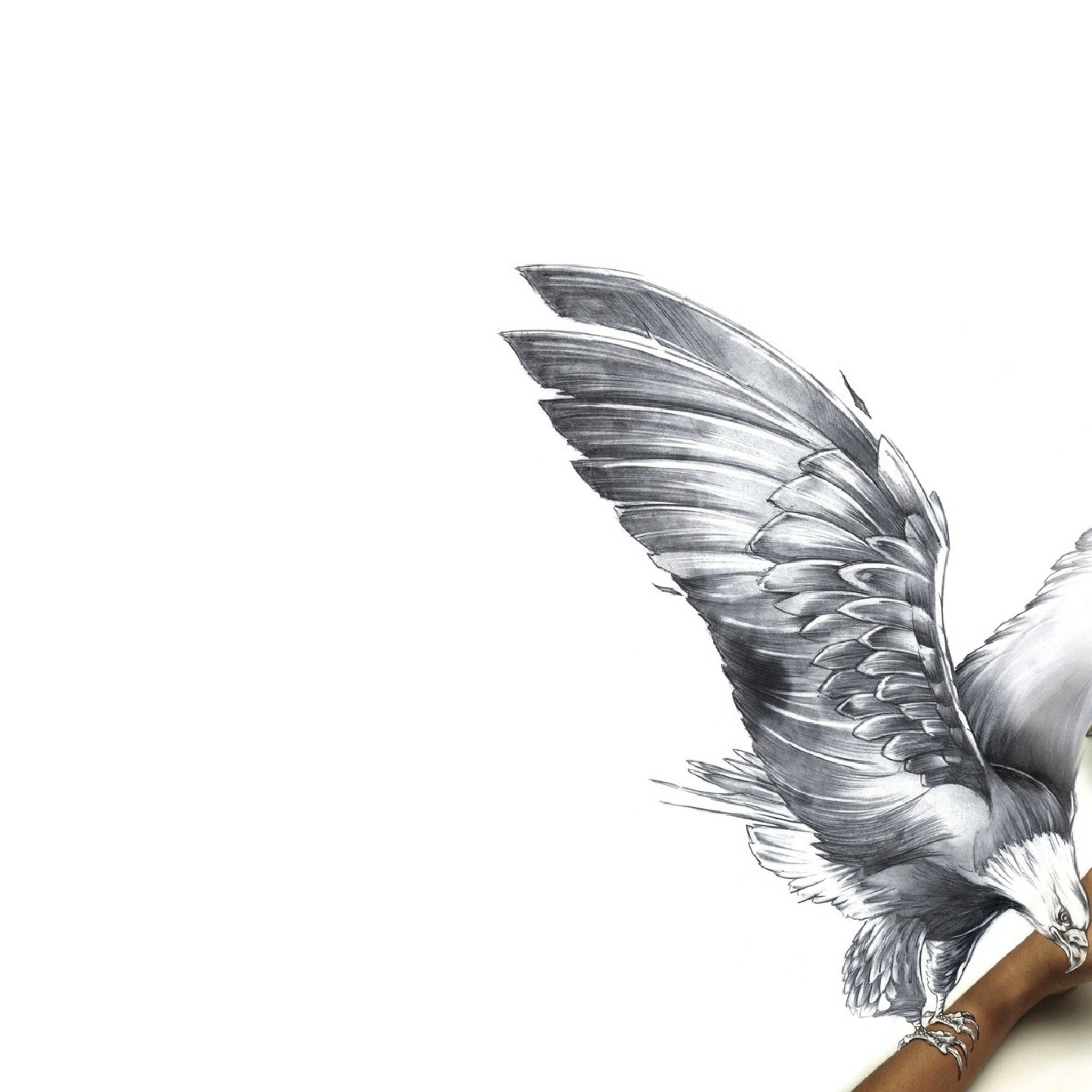 Download Pencil Drawing Feather Wallpaper | Wallpapers.com