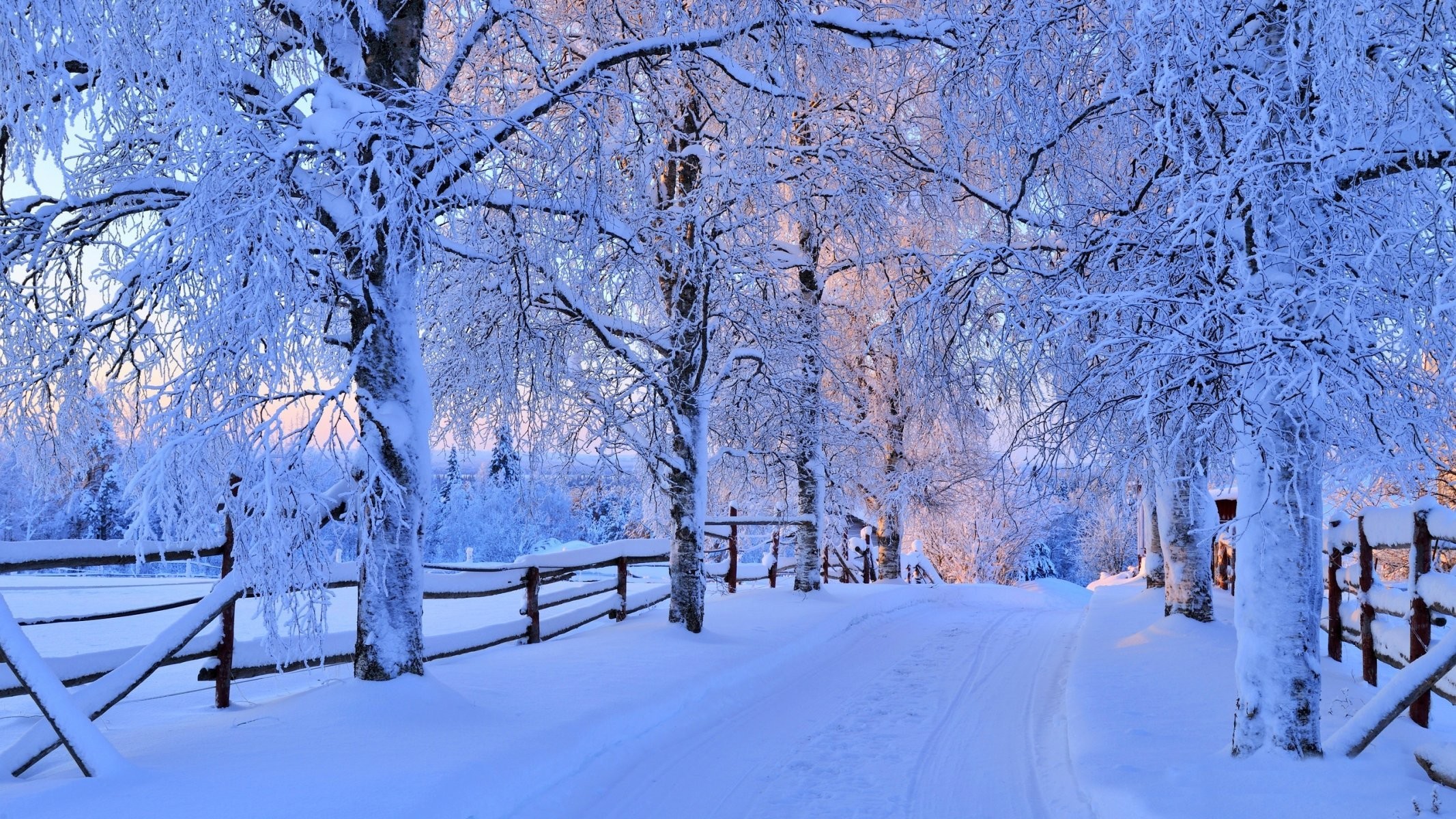 Featured image of post Mobile Nature Winter Images : Looking for the best winter nature wallpaper?