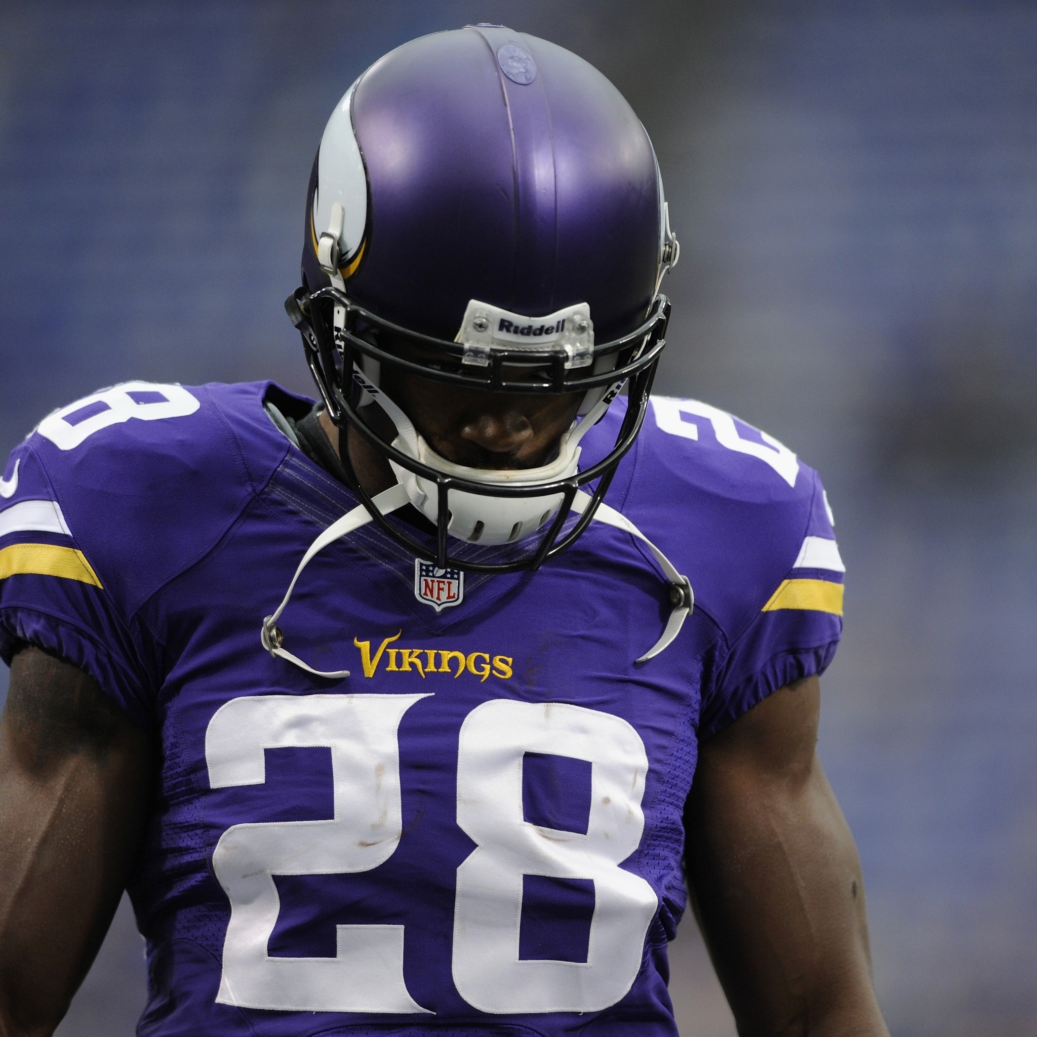 minnesota vikings hd wallpaper