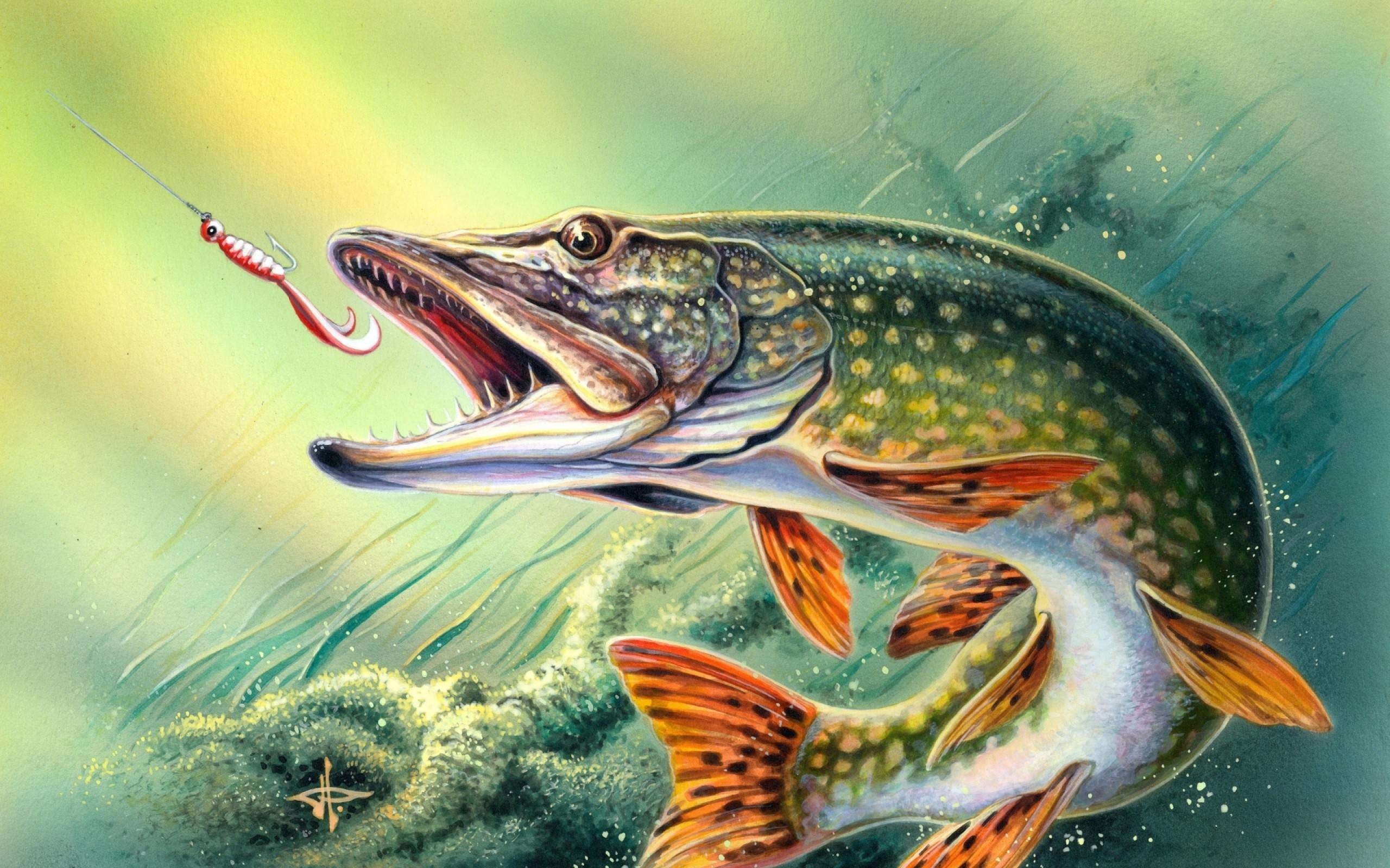 Largemouth Bass Backgrounds (46+ pictures)
