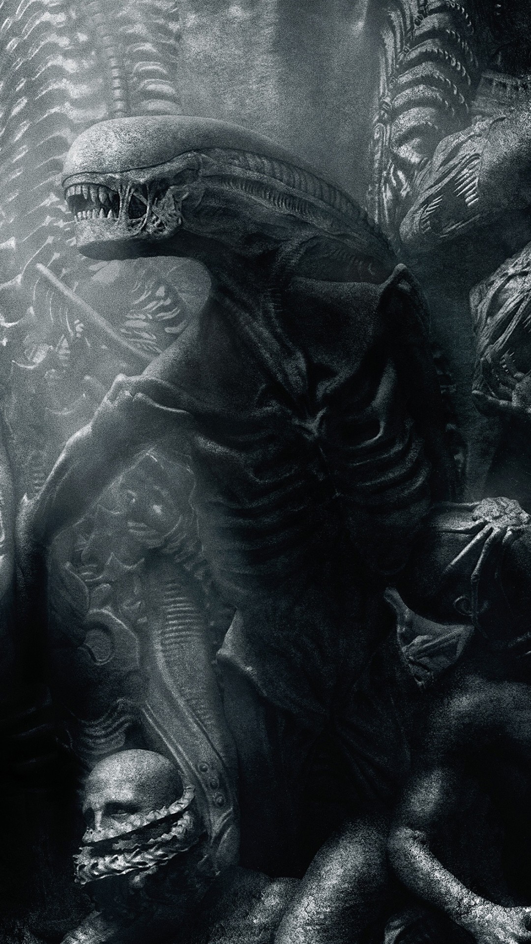 Alien Movie Wallpaper (75+ pictures)