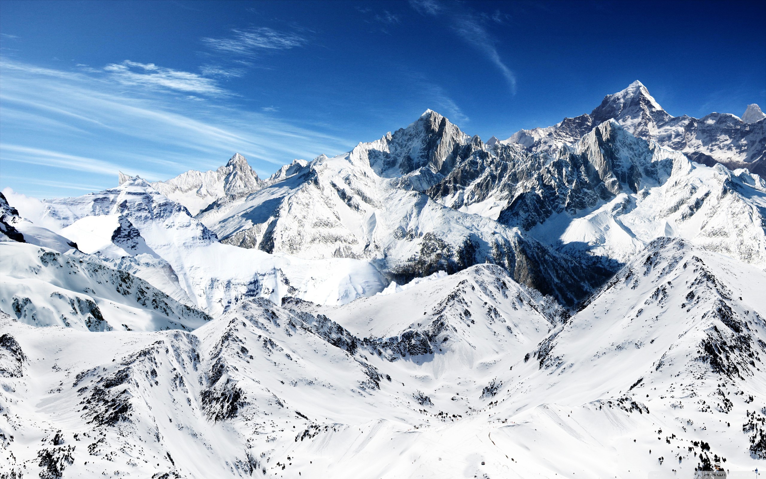 Related wallpapers 2560x1600