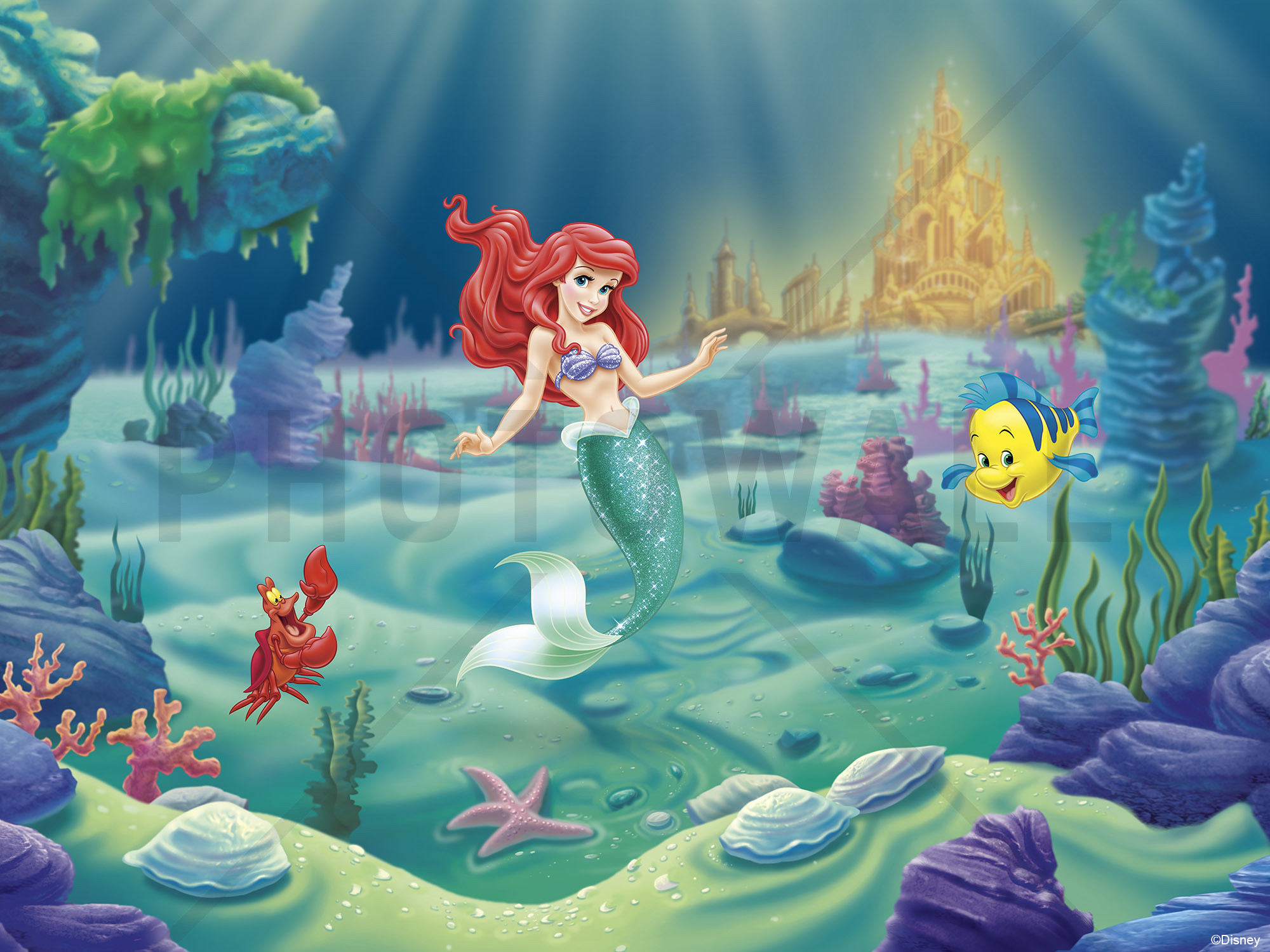 Ariel The Little Mermaid 2023 Poster 4K Wallpaper iPhone HD Phone 5691k