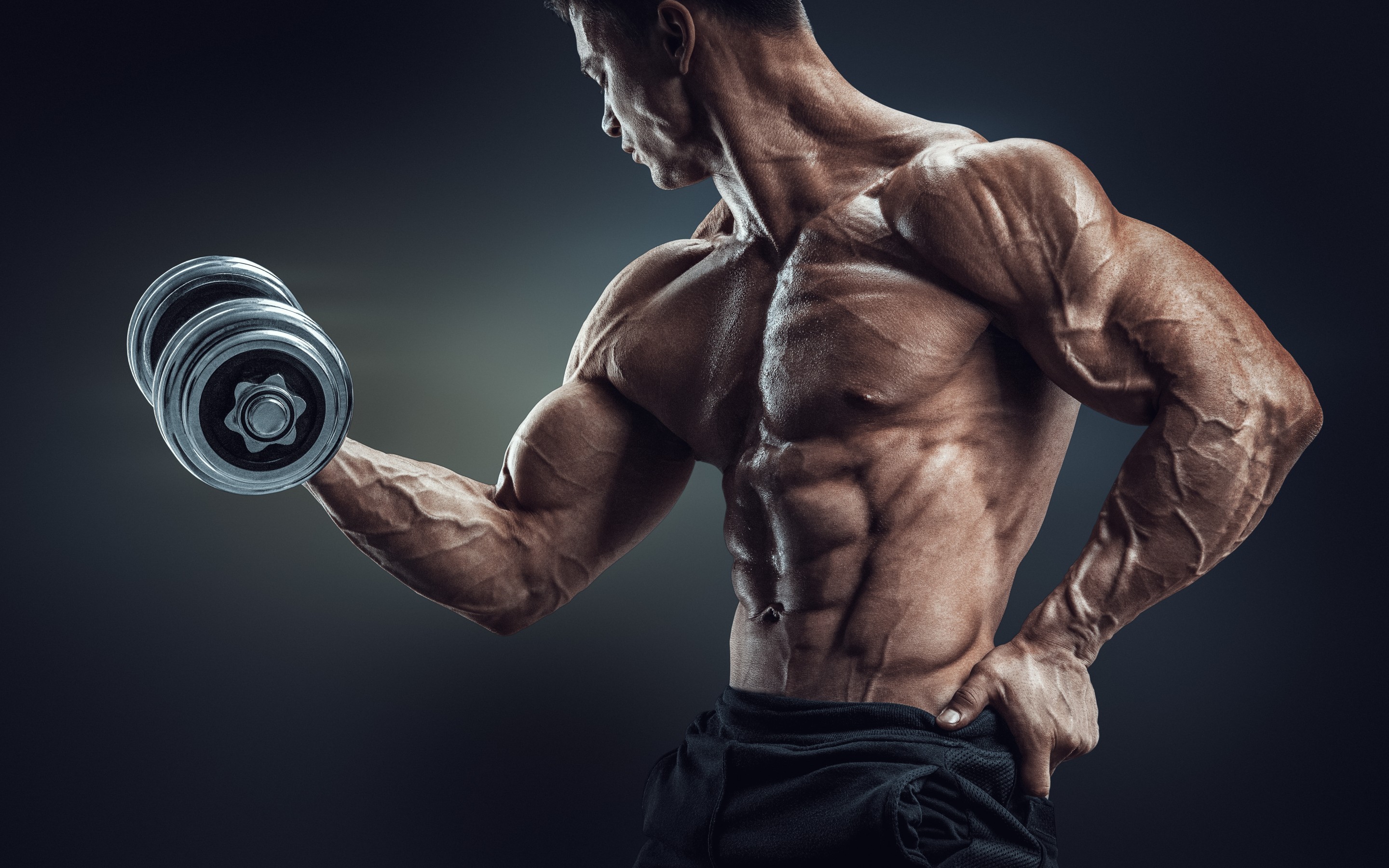 Bodybuilding Motivation Ultra HD Desktop Background Wallpaper for