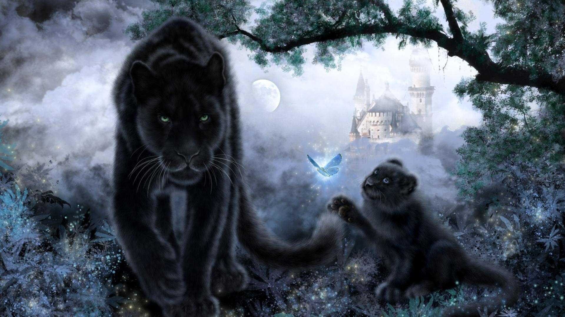 Panther, black jaguar, wild cat, black panther, dangerous animals, panther  on a black background, HD wallpaper | Peakpx