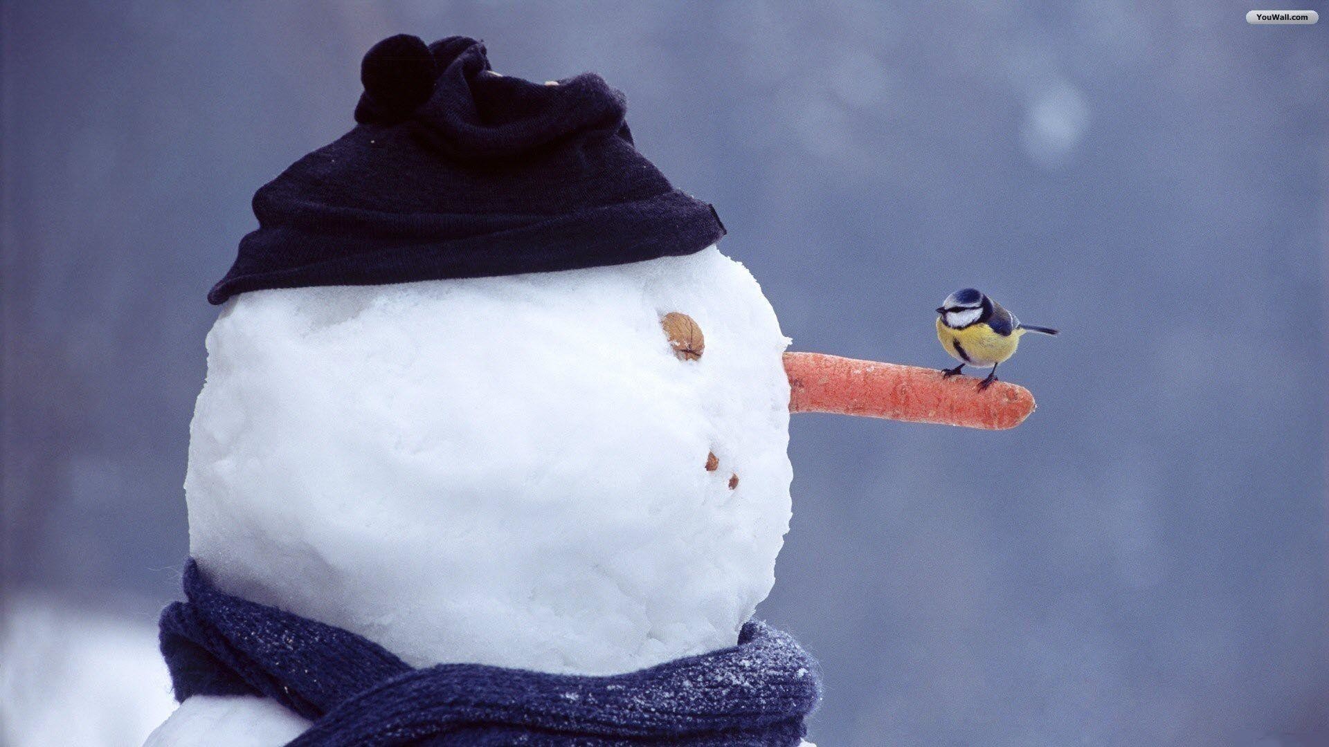 Snowman Desktop Wallpaper 59 Pictures