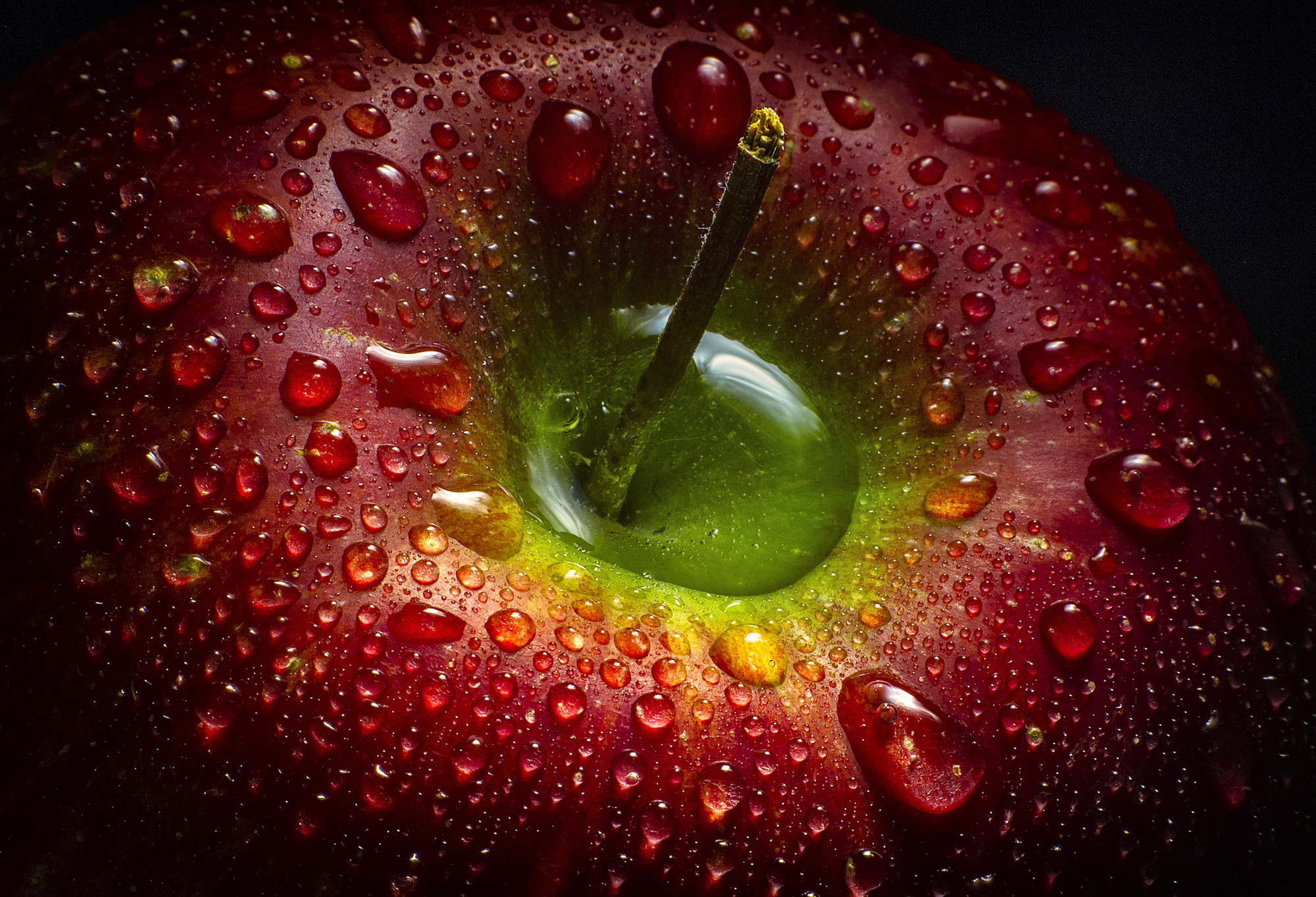 Red Apple Wallpaper Mural 2000x1363