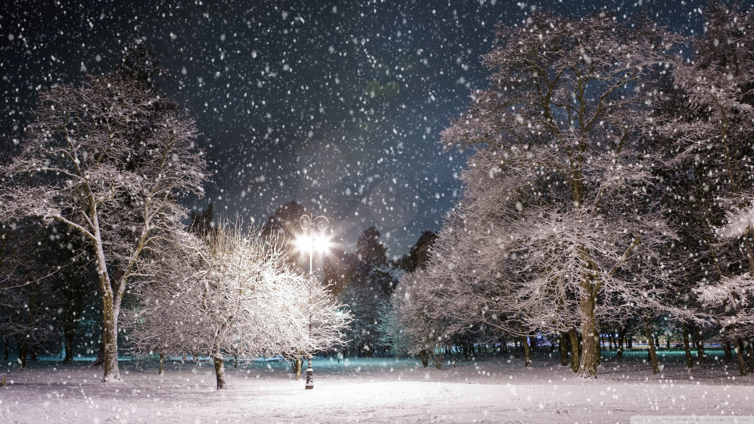Beautiful Winter Night Wallpaper  PixelsTalkNet