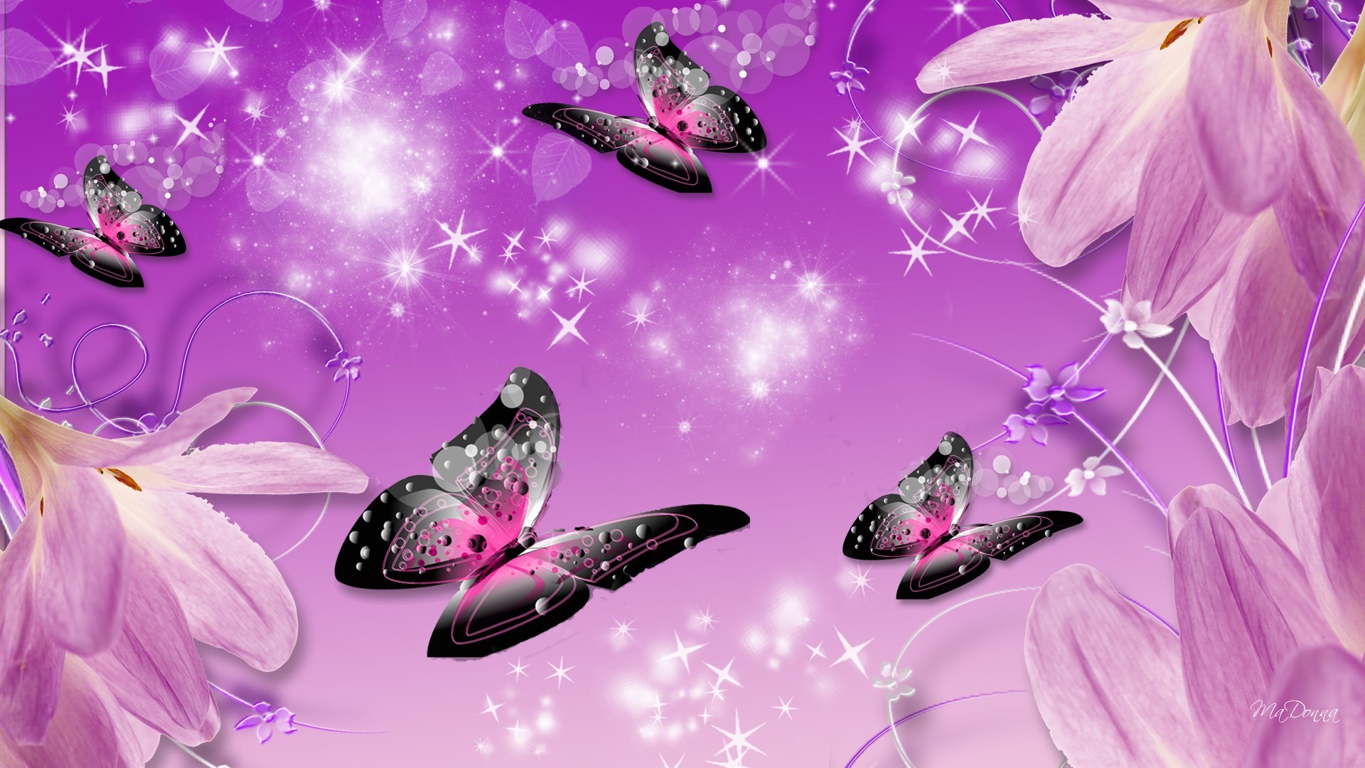 Живые открытки на телефон. Фон бабочки. Бабочки картинки красивые. Красивый фон на телефон. Обои с бабочками.