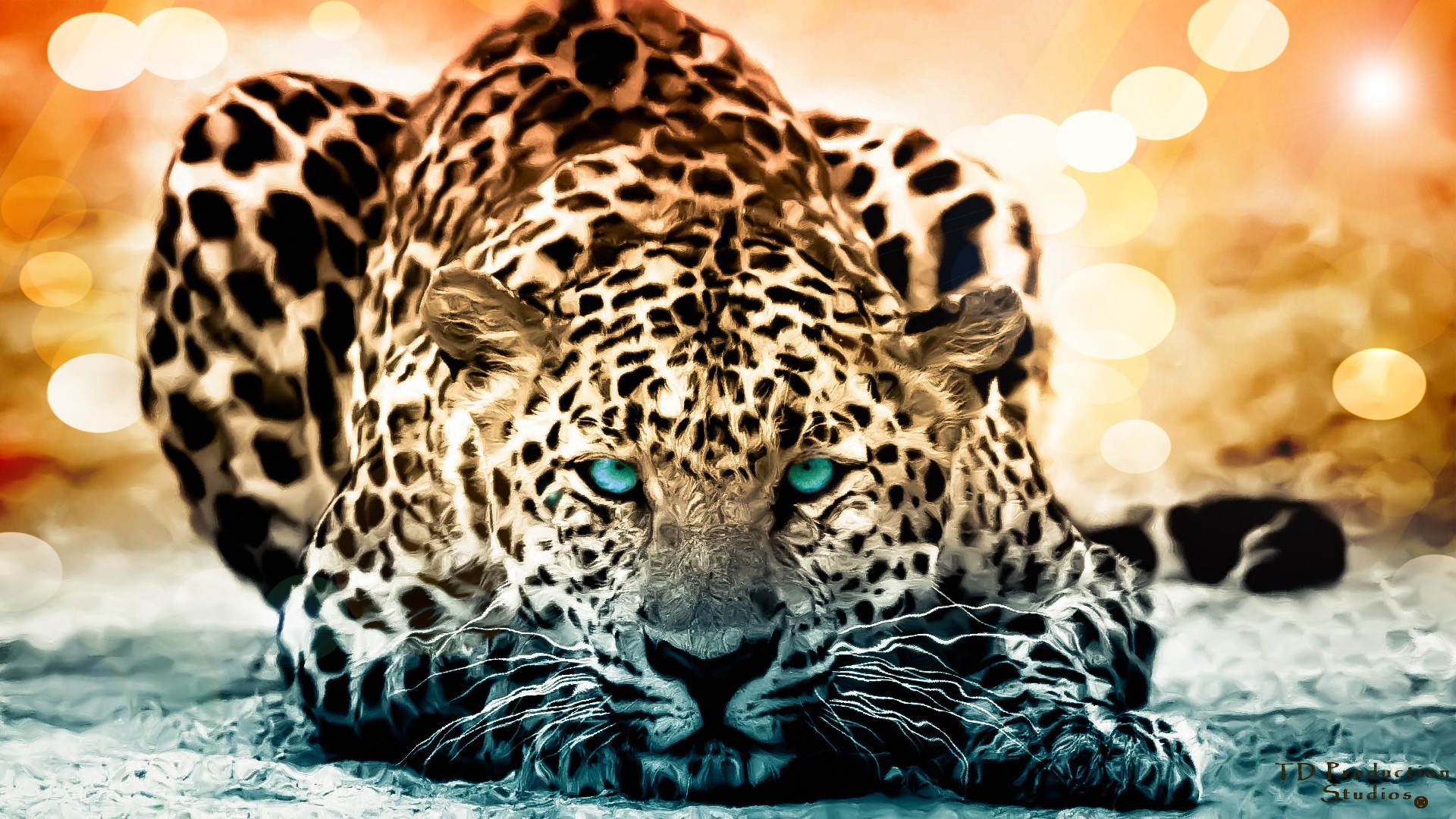 Cool Animals Wallpapers 60 Pictures WallpaperSet