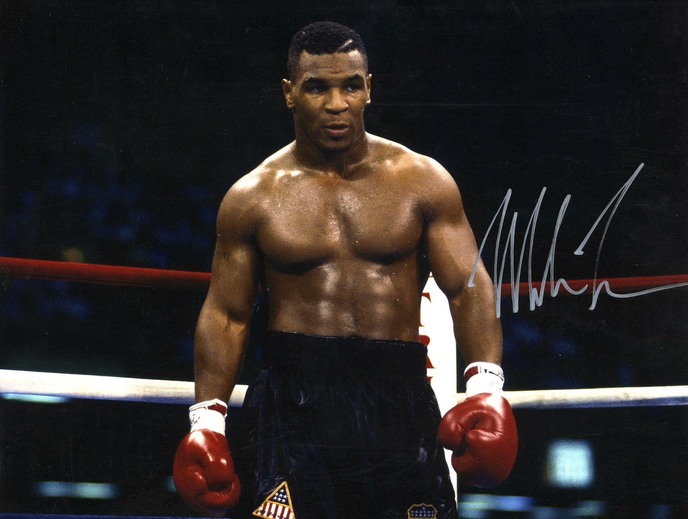 Download Mike Tyson  A Boxing Legend  Wallpaperscom