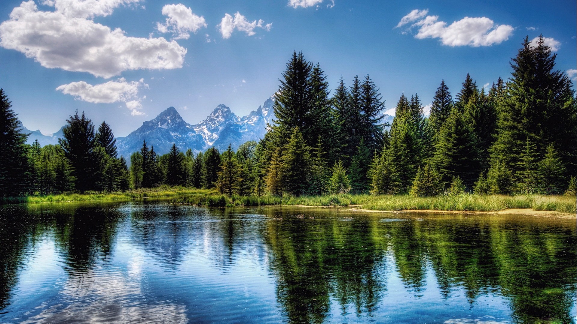 HD Nature Wallpapers 1080p 74 Pictures WallpaperSet