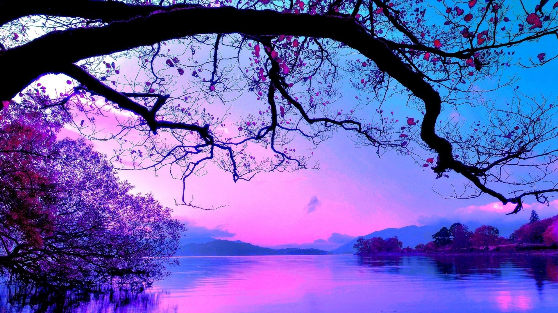 Purple Tree Wallpaper (53+ pictures)