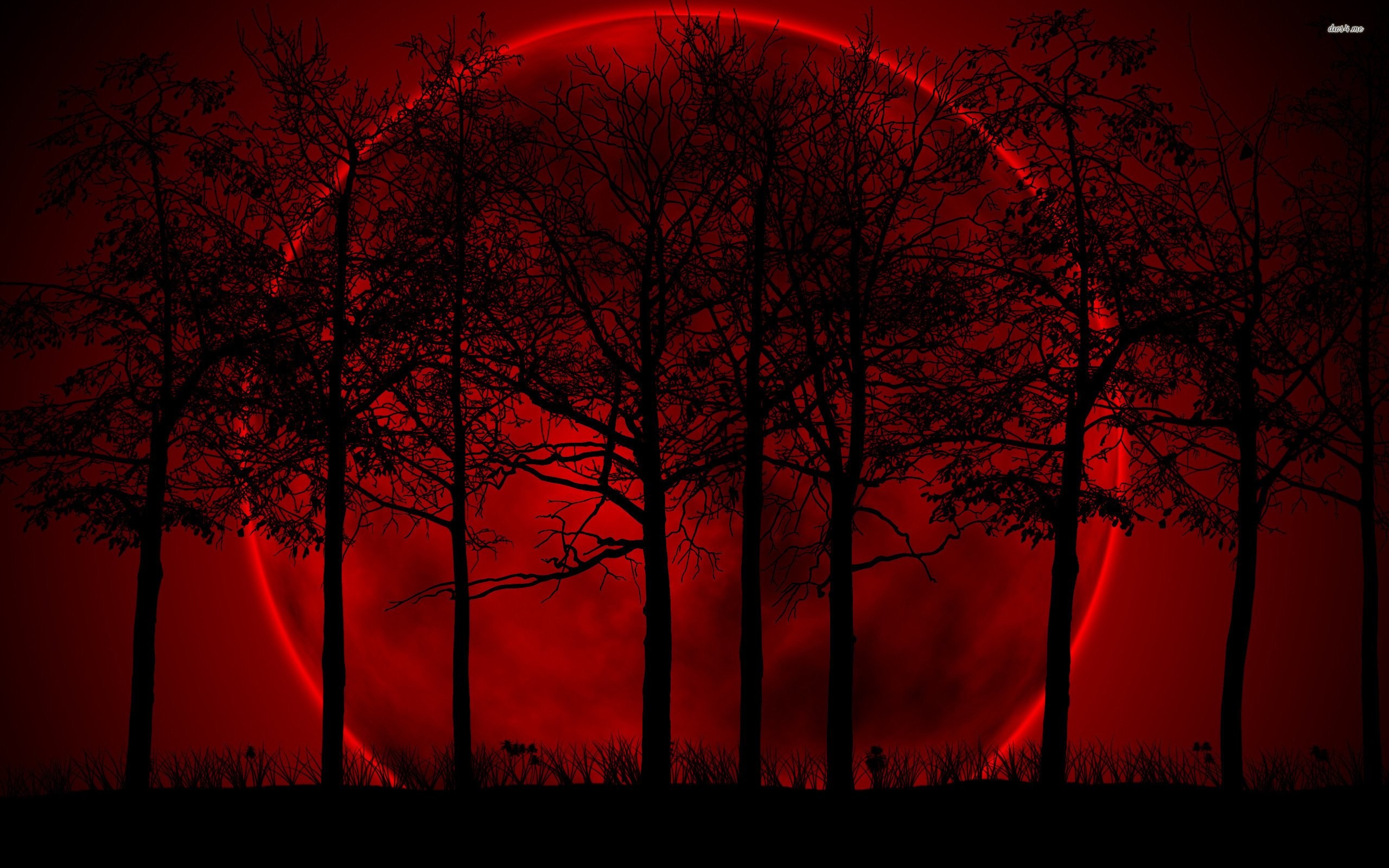 Red Moon Wallpaper 62 Pictures