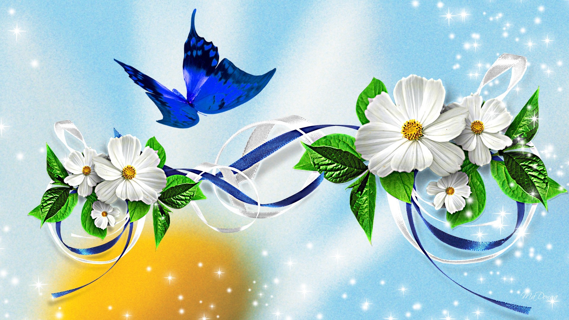Butterfly Wallpaper 1920x1080