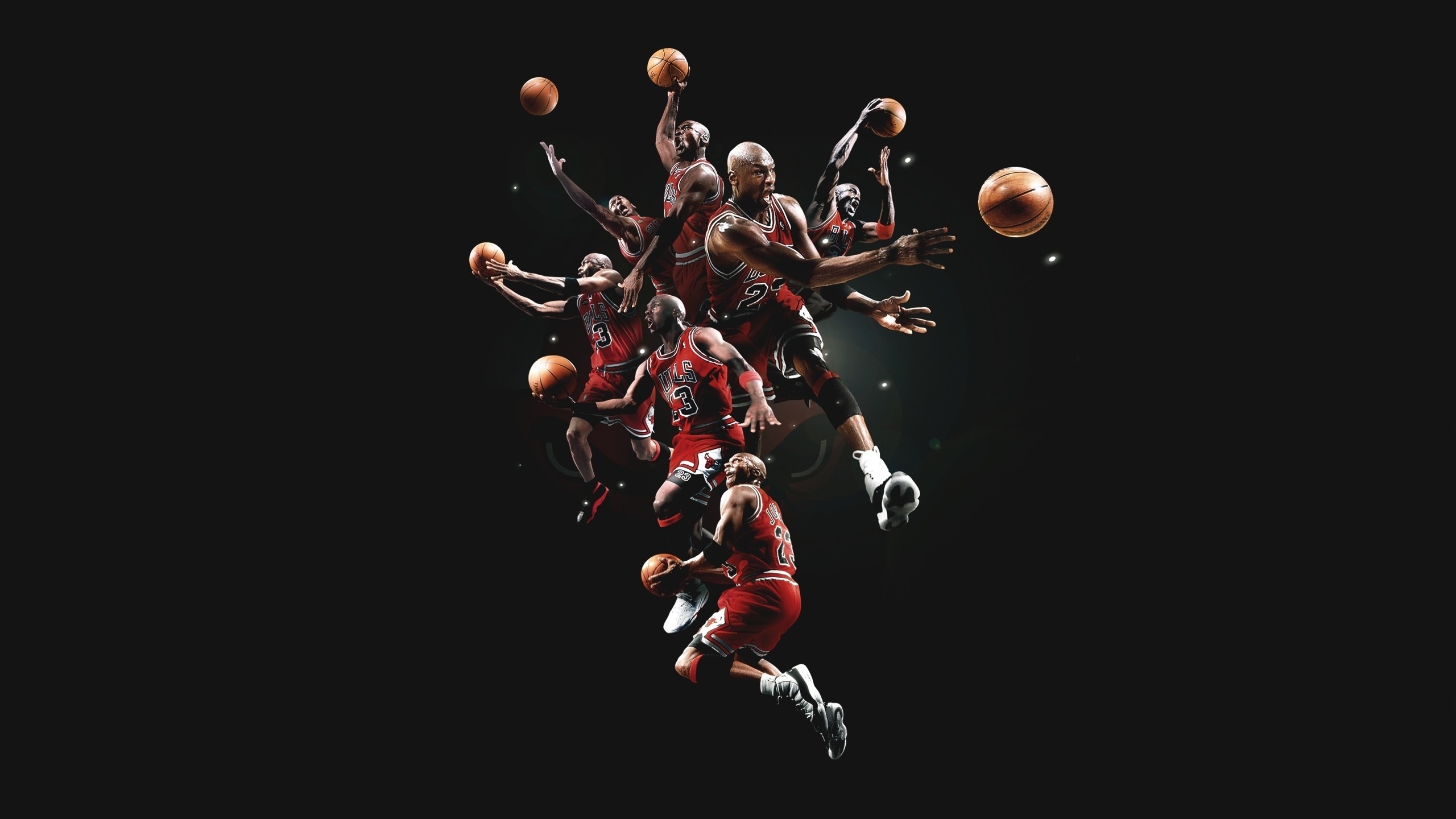 Chicago Bulls Wallpapers HD New 2 2560x1440