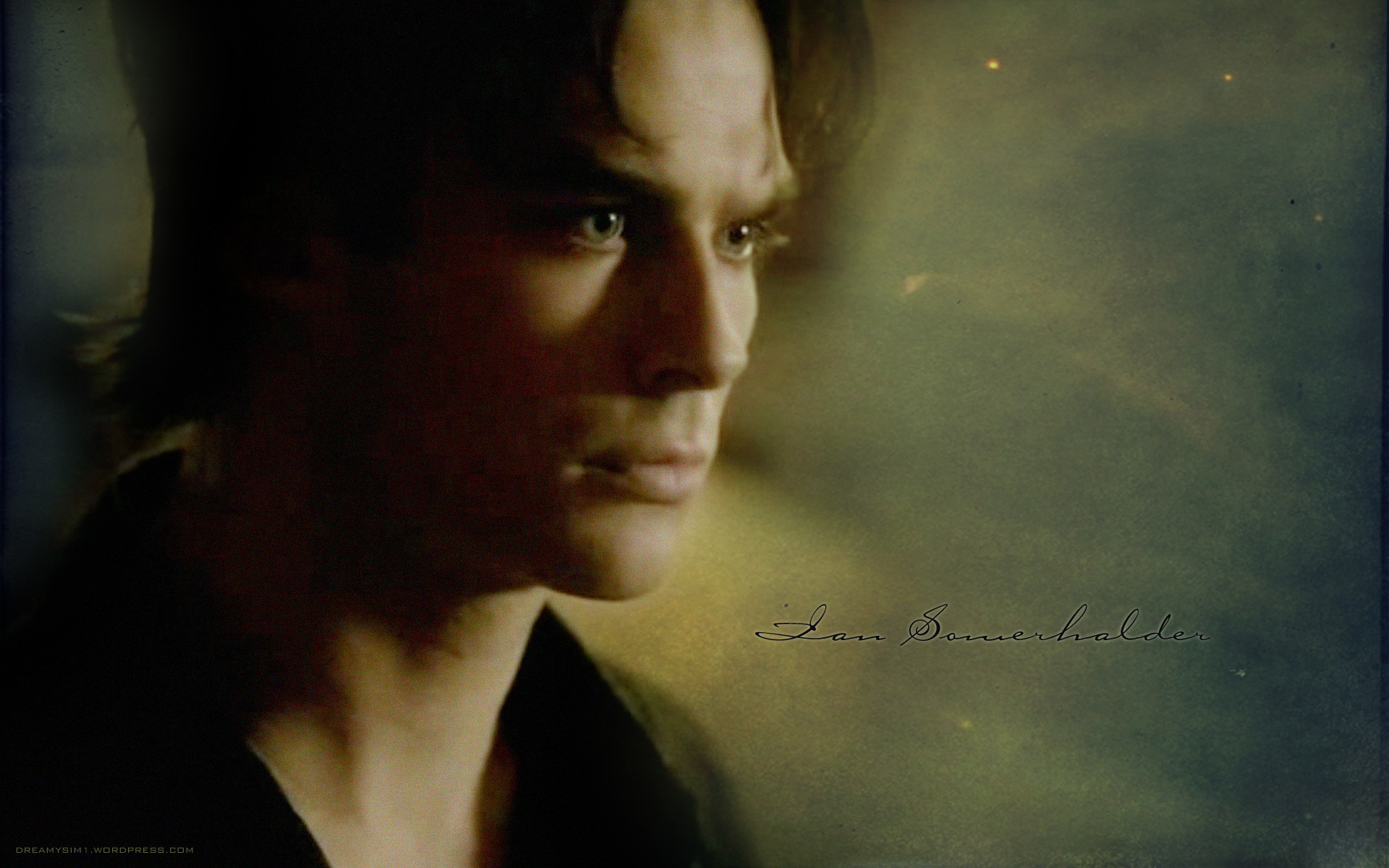 vampire diaries wallpaper damon and. Wallpaper Ian Somerhalder; Wallpaper  Ian Somerhalder 1920x1200