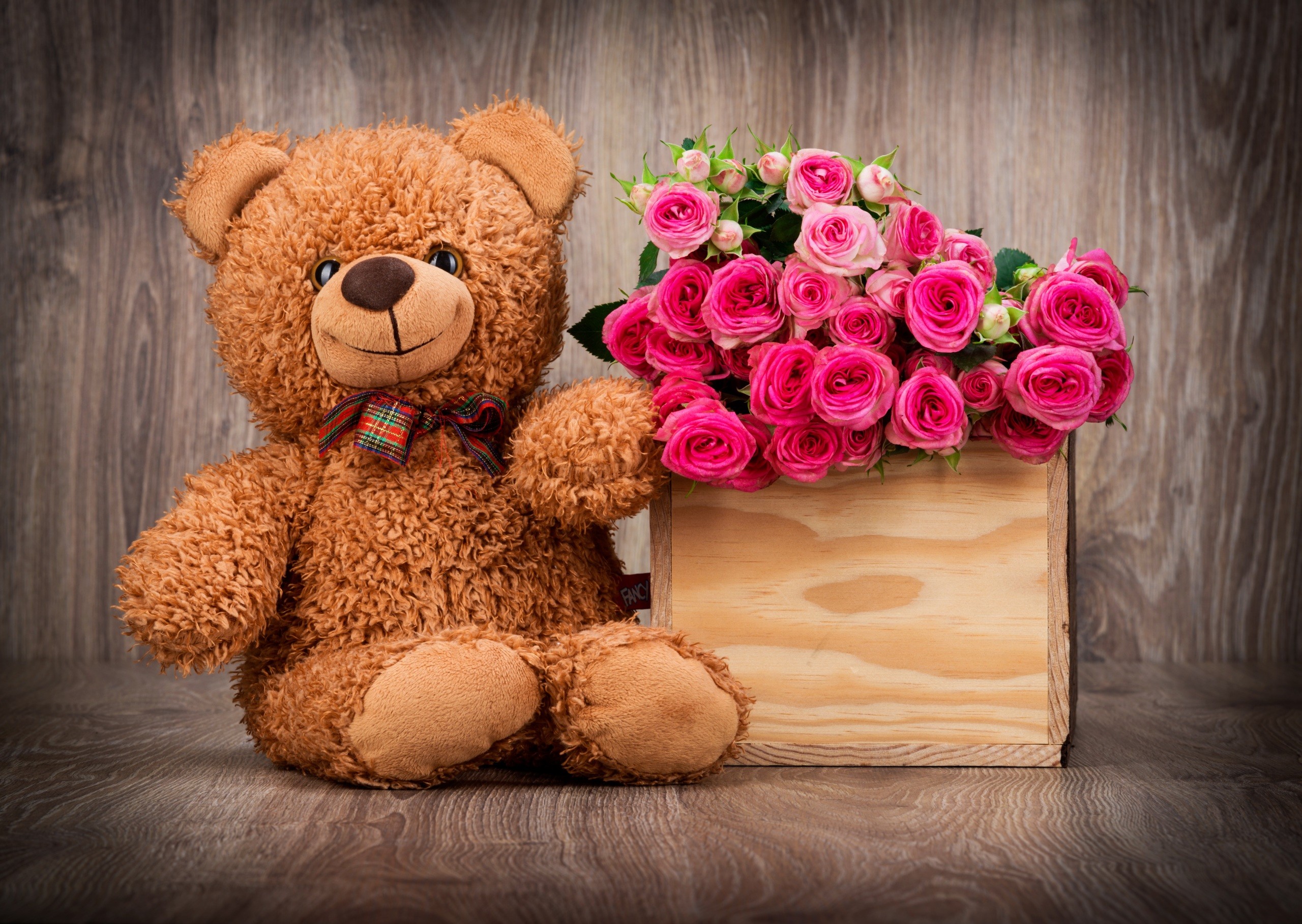 Cute Teddy Bear Wallpapers 61 Pictures
