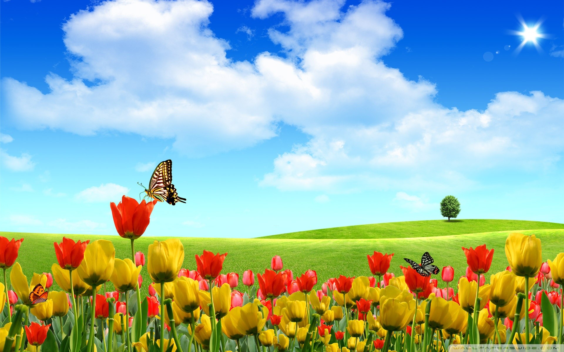 Wide ... 1920x1200