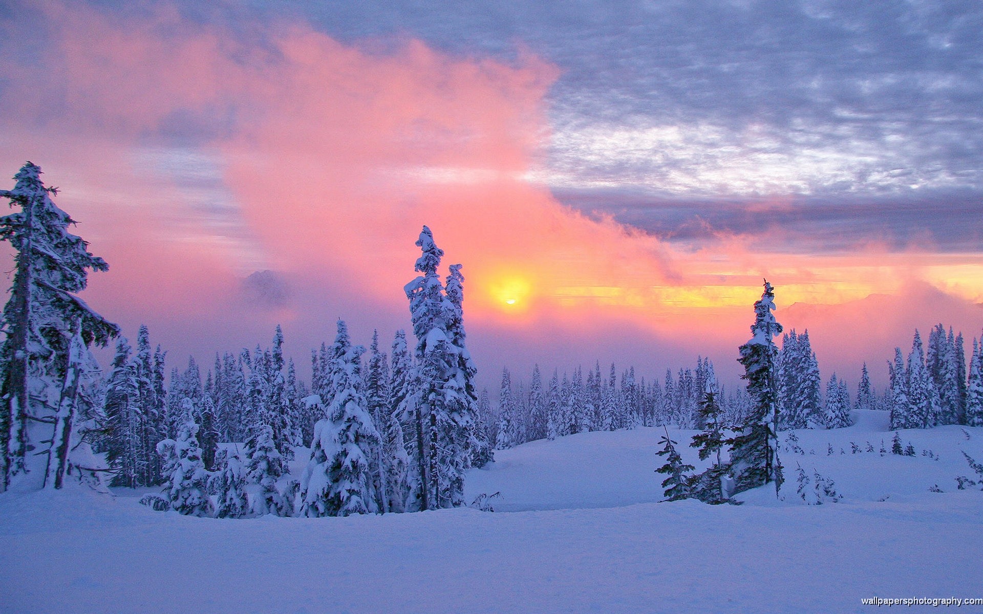 Snow Scenes Wallpaper 54 Pictures,Circle Ganesh Wallpaper Hd 3d