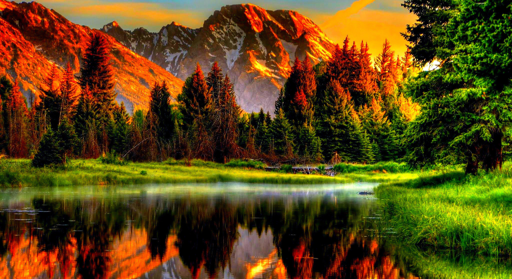 Nature Wallpaper Images - Free Download on Freepik