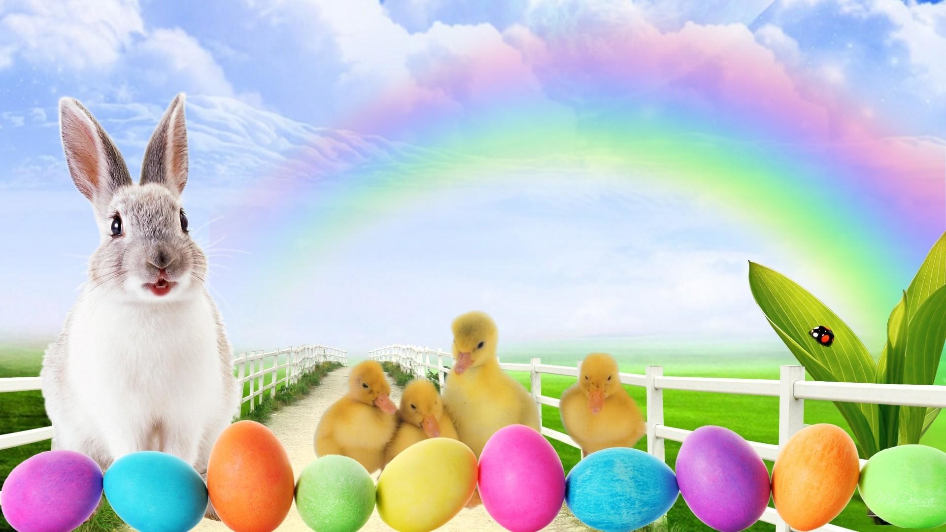 Cute Easter Wallpapers (68+ pictures)