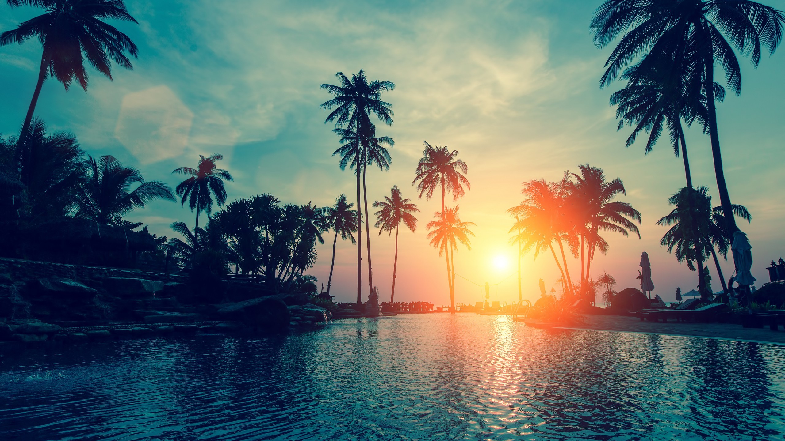 30 4K Palm Tree Wallpapers  Background Images
