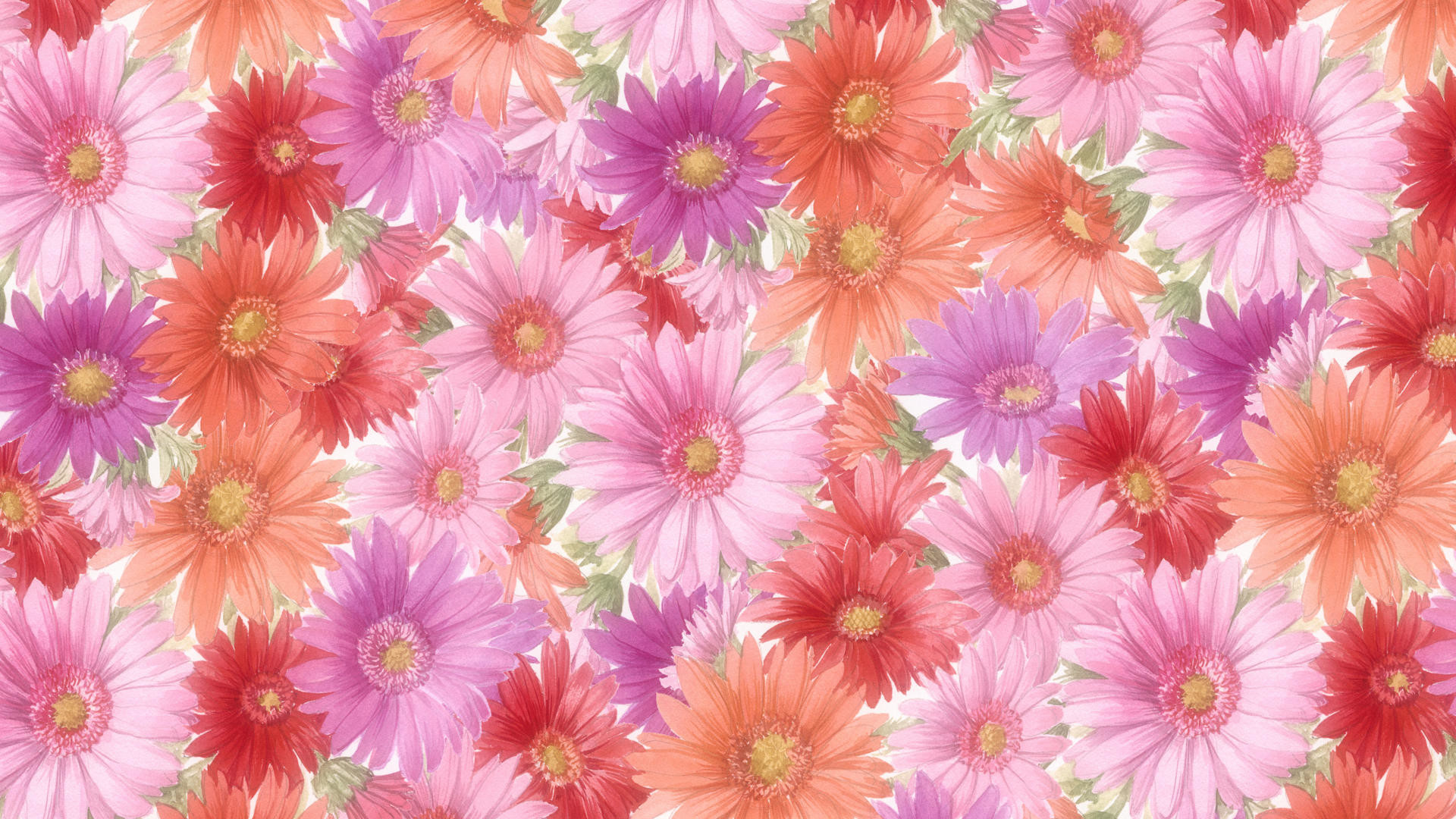 16000+ Flowers HD Wallpapers and Backgrounds