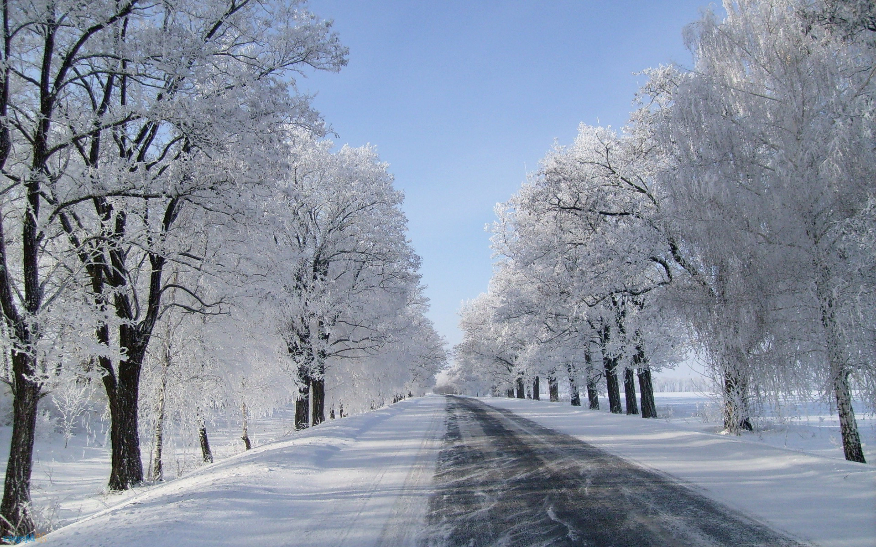 Snowfall. Винтер Сноу. Зима. Зимняя дорога. Зимний парк.